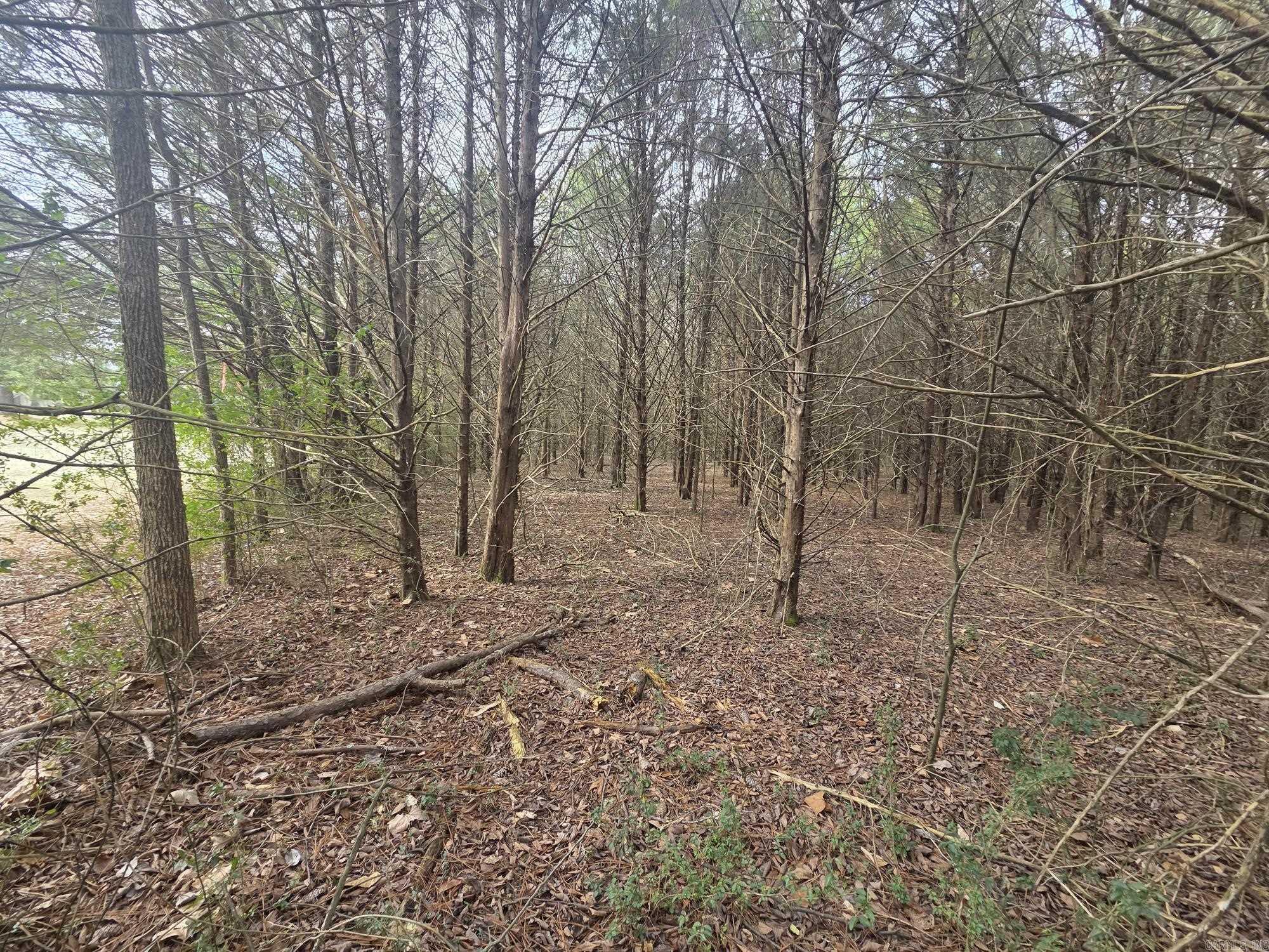 17 acres off Hwy 16  Searcy, AR