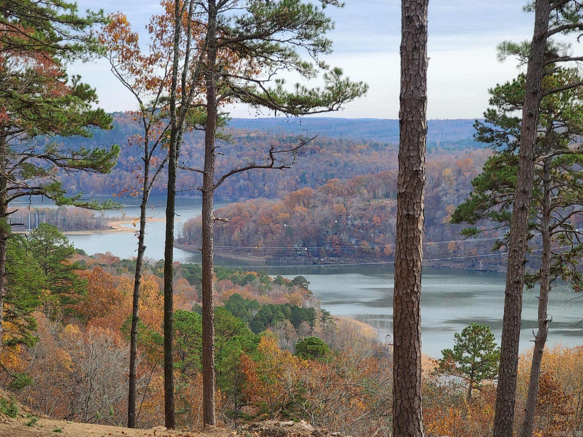 500 Leech Dr. Shirley, AR 72153