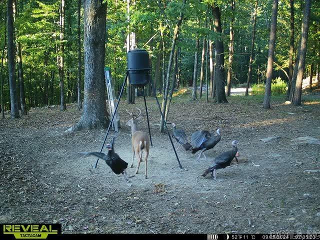 500 Leech Dr. Shirley, AR 72153