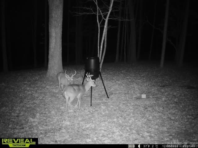 500 Leech Dr. Shirley, AR 72153