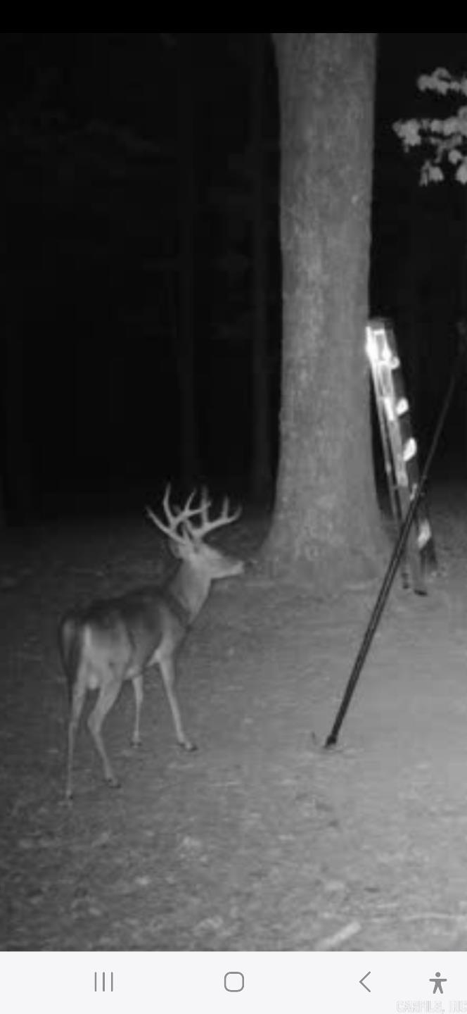 500 Leech Dr. Shirley, AR 72153