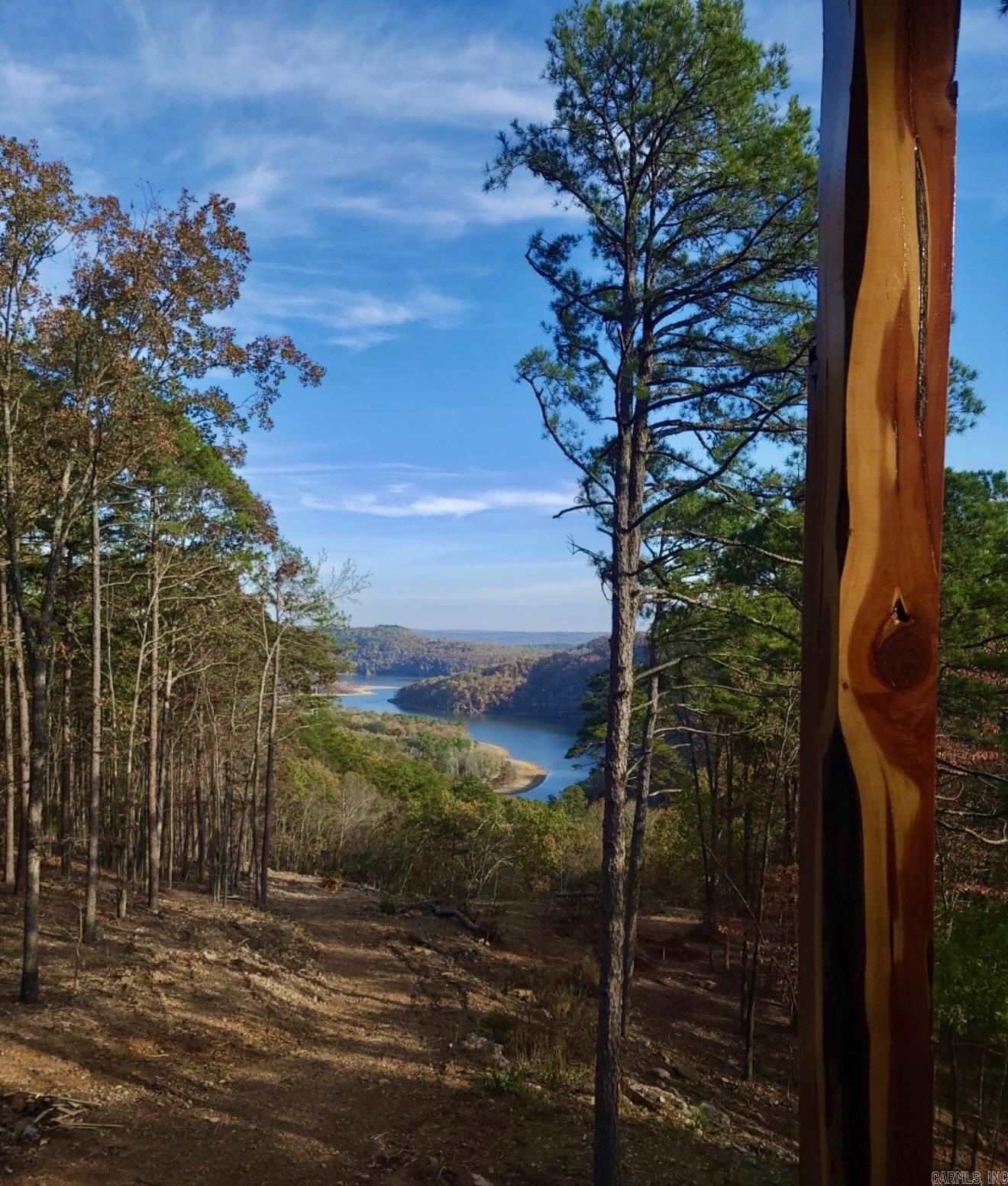 500 Leech Dr. Shirley, AR 72153