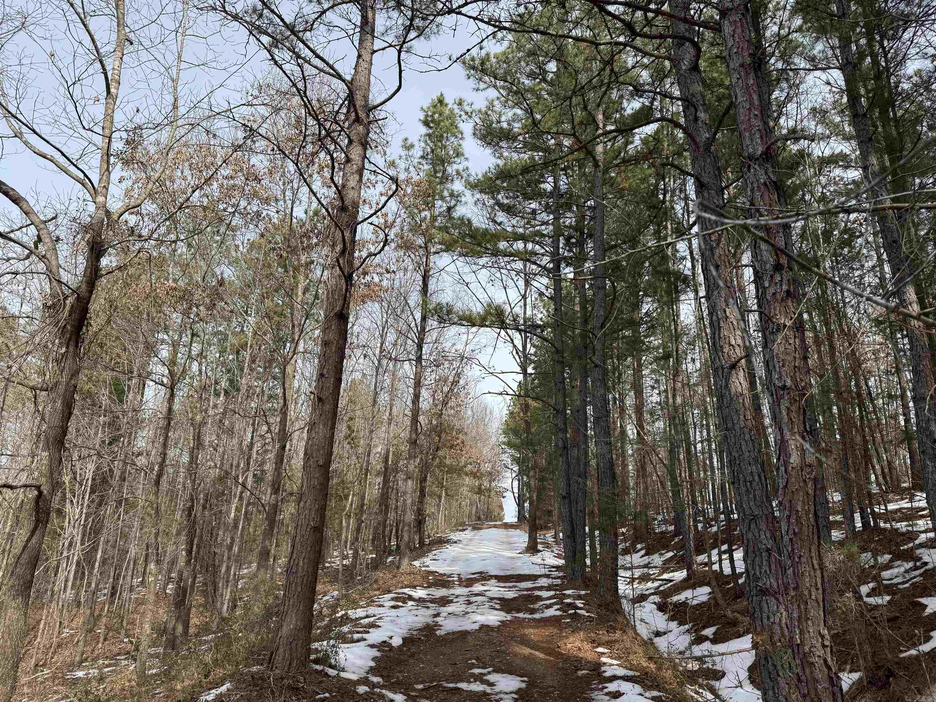 000 Tournament Dr.  Mountain View, AR