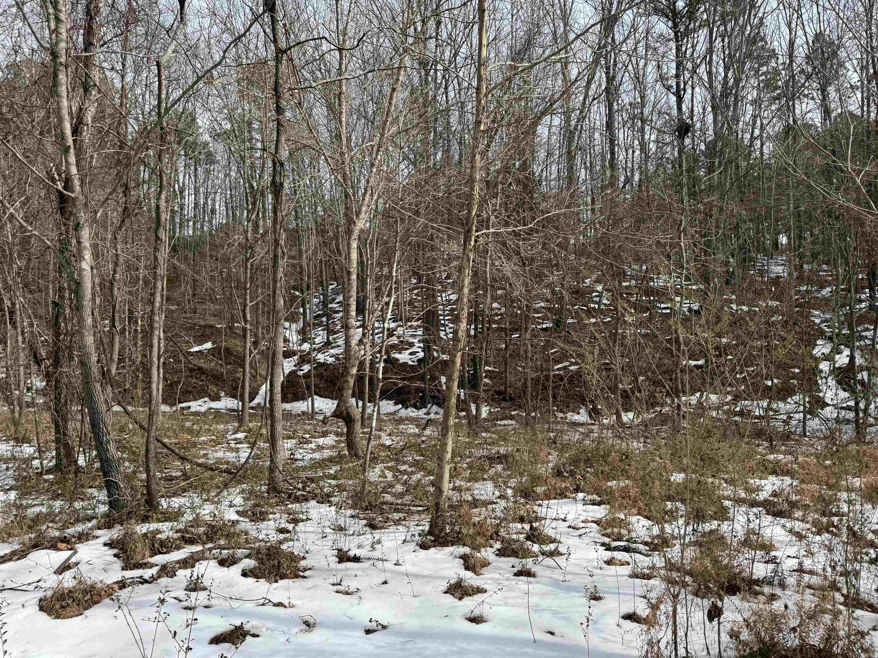 000 Tournament Dr.  Mountain View, AR