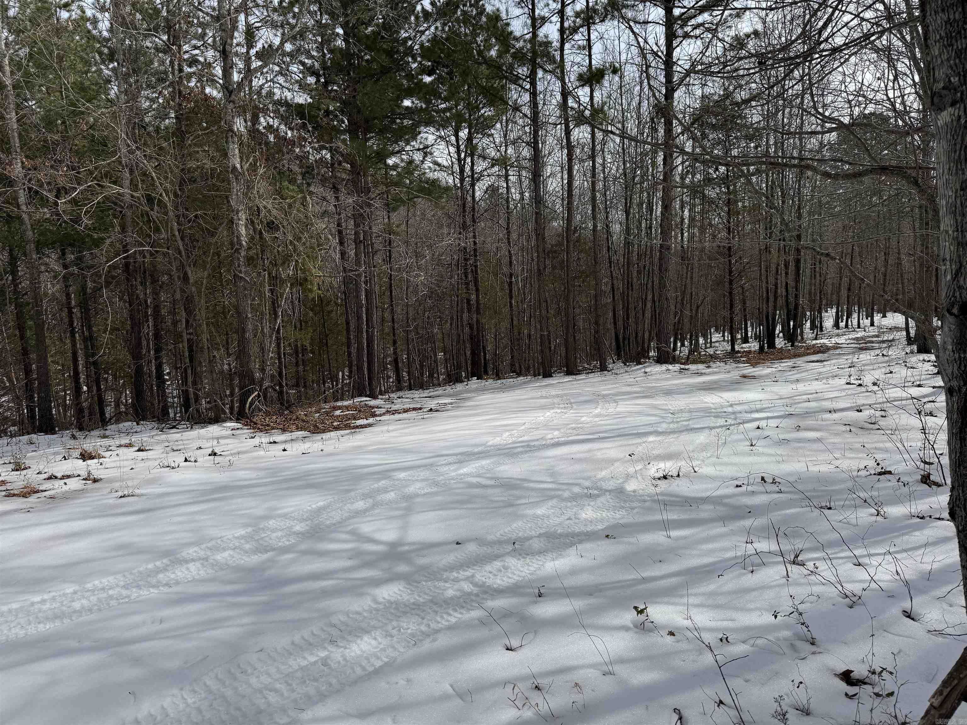 000 Tournament Dr.  Mountain View, AR