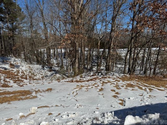 000 Tournament Dr. Lot 24  Mountain View, AR