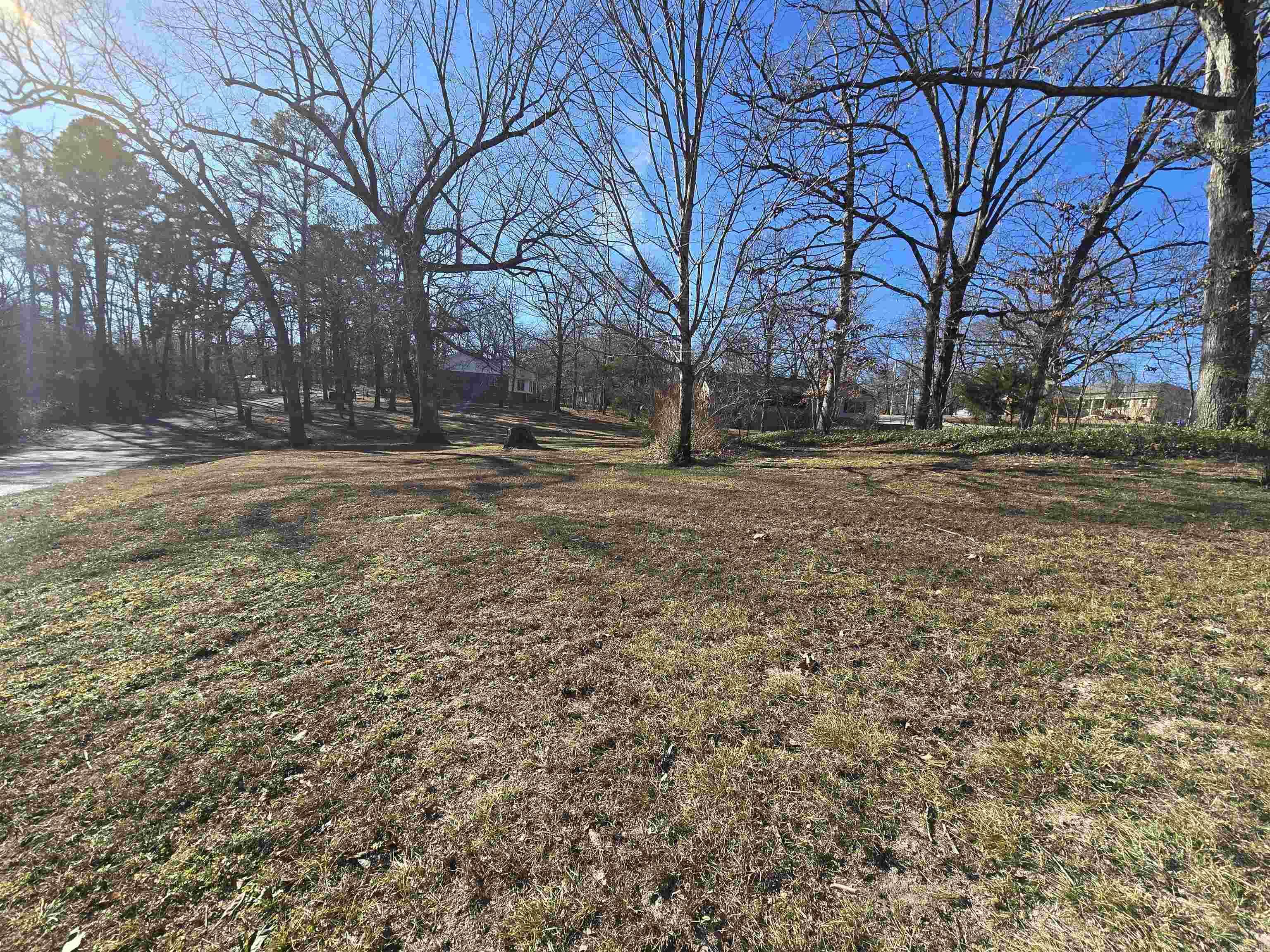 201 Coon Ridge  Lakeview, AR