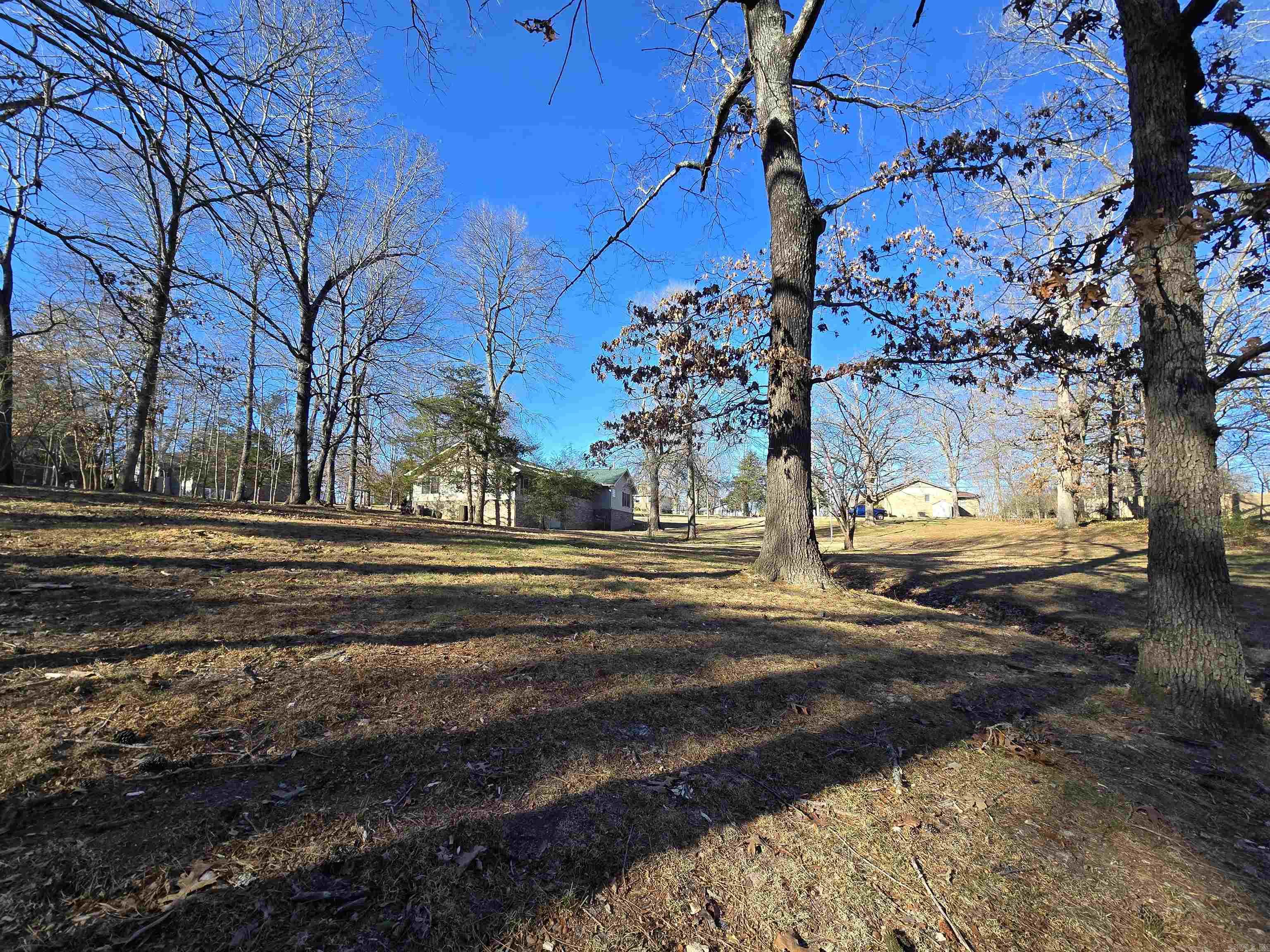 201 Coon Ridge  Lakeview, AR