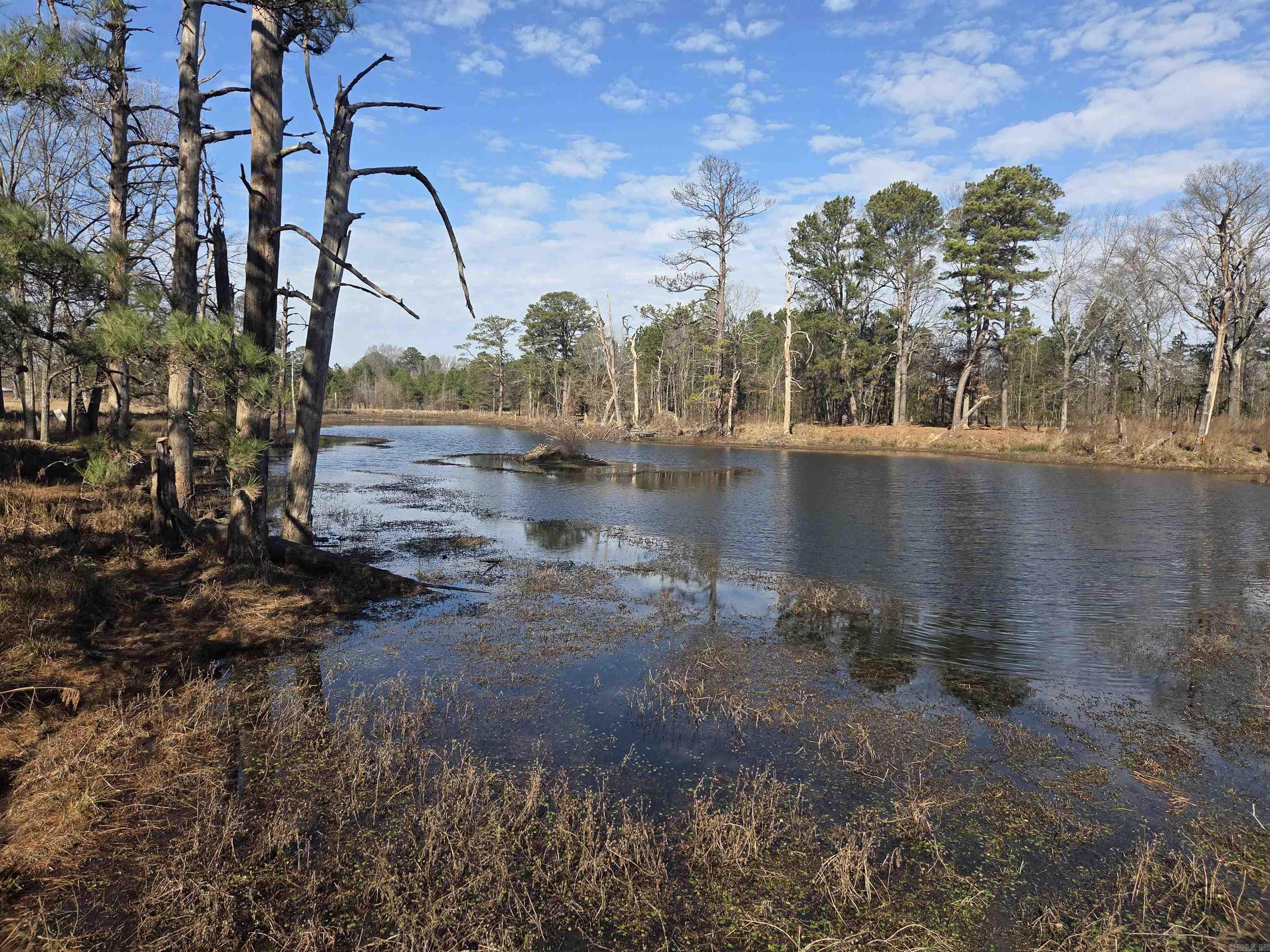 4205 Ryburn Rd  Pine Bluff, AR