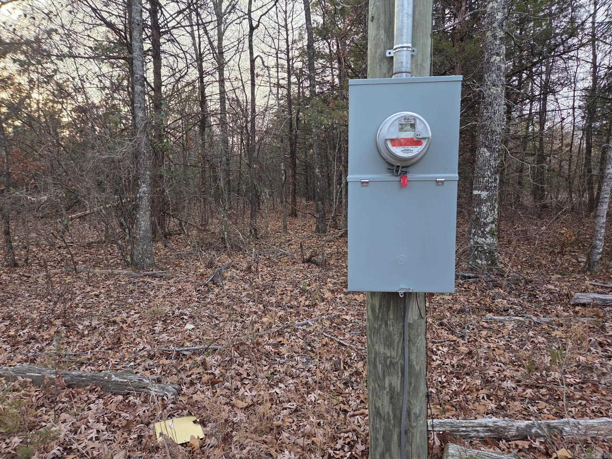 90 Sherrill King  Quitman, AR