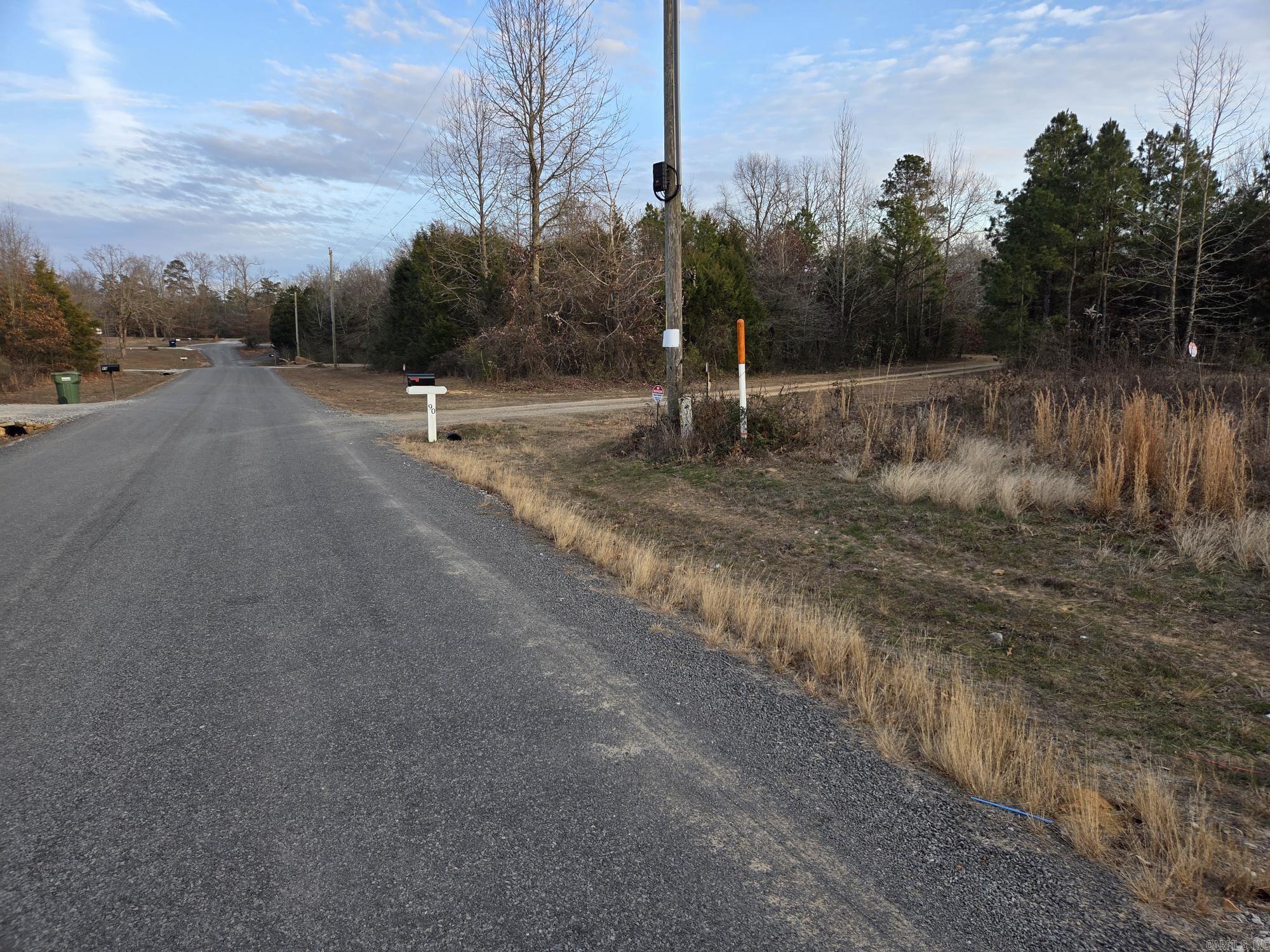 90 Sherrill King  Quitman, AR