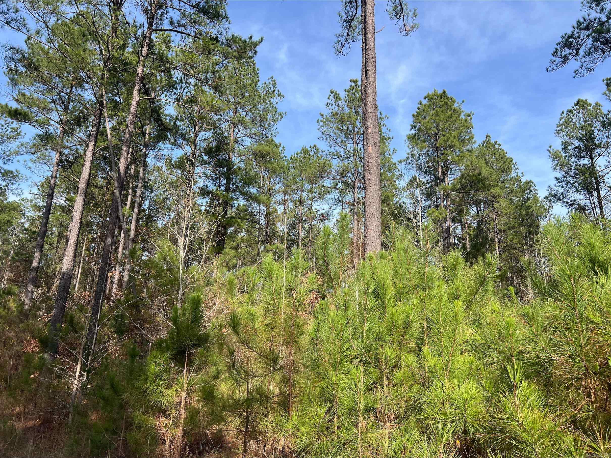 00 Livingston Road  New Edinburg, AR