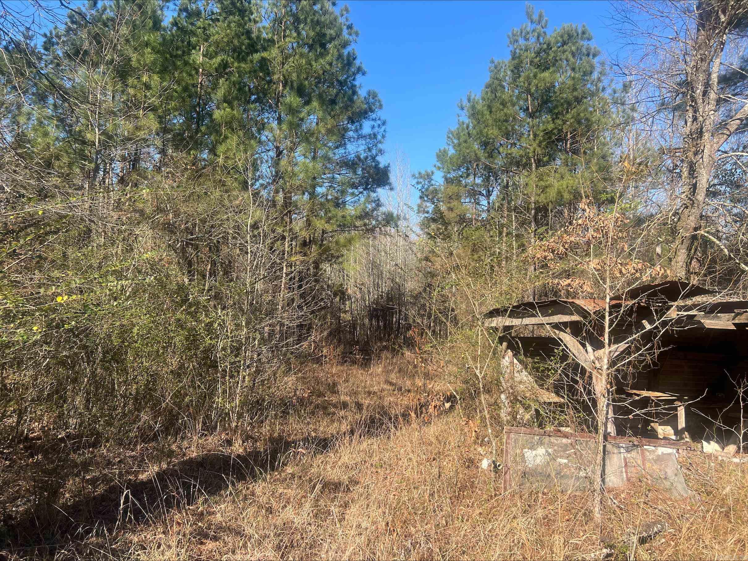 00 Livingston Road  New Edinburg, AR