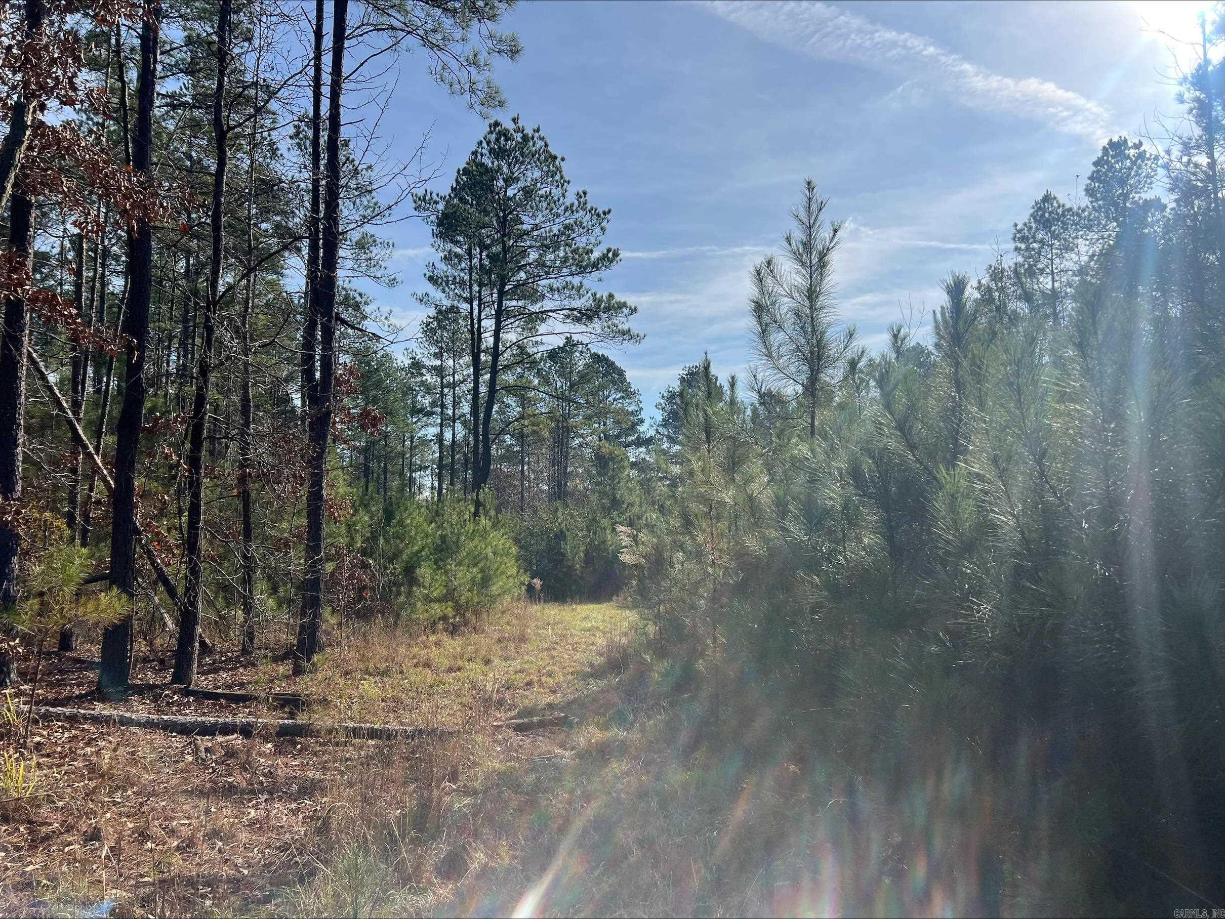 00 Livingston Road  New Edinburg, AR