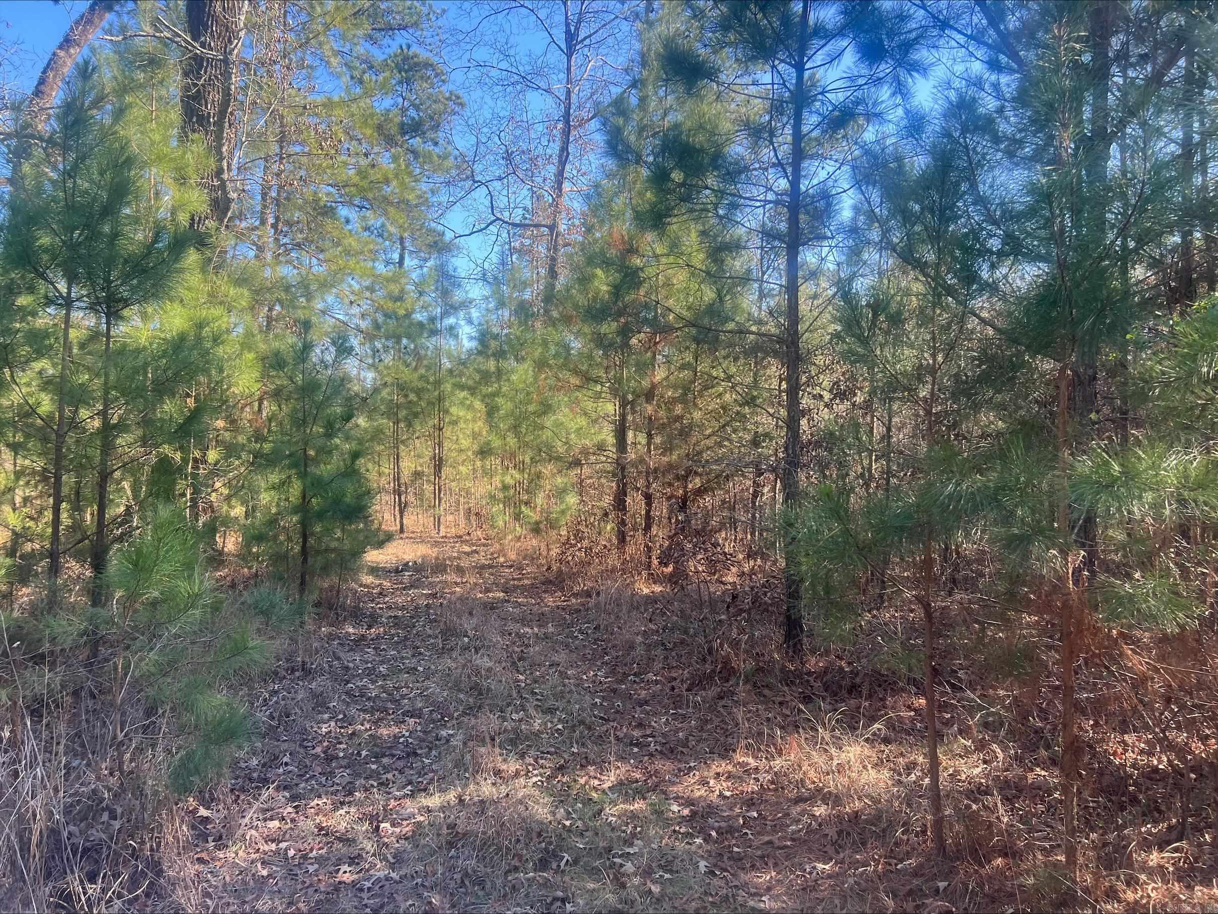 00 Livingston Road  New Edinburg, AR