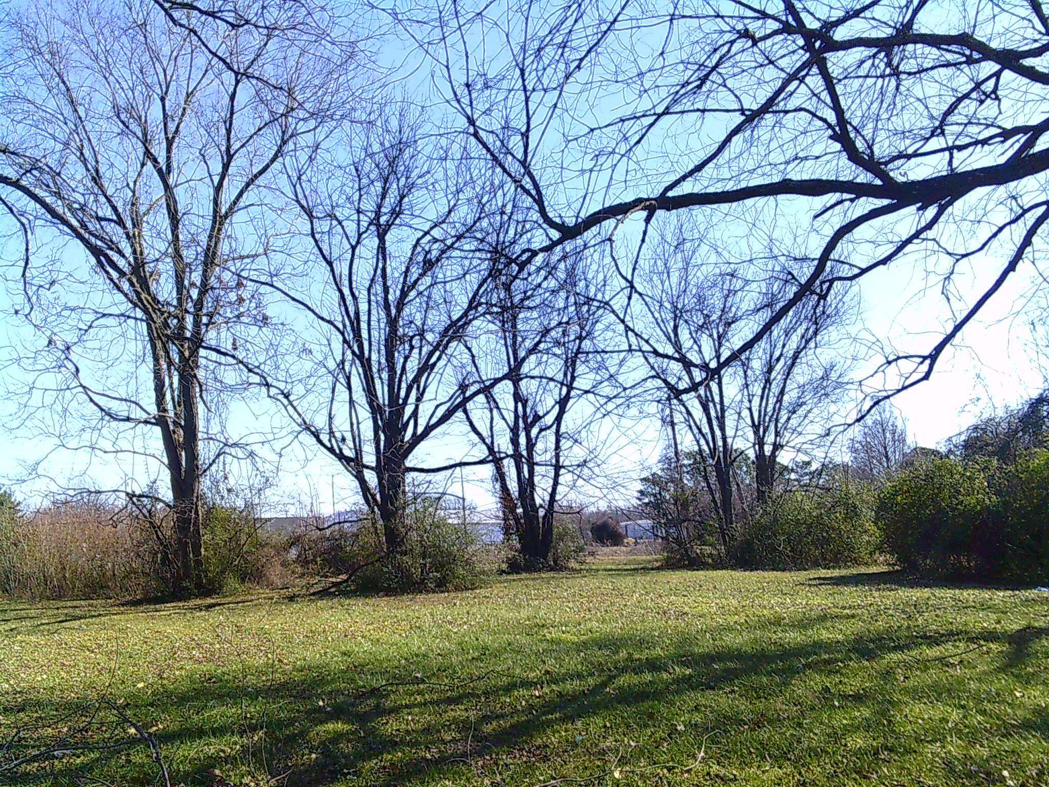 1040/1042/1046 S 14th Street 1048 S 14th Street Blytheville, AR