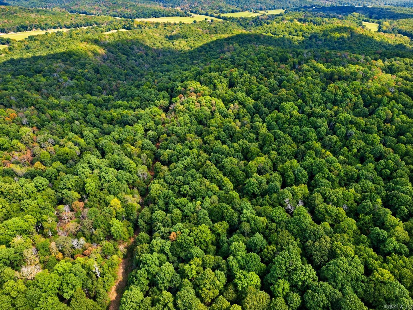  Upper Janes Creek  Ravenden, AR