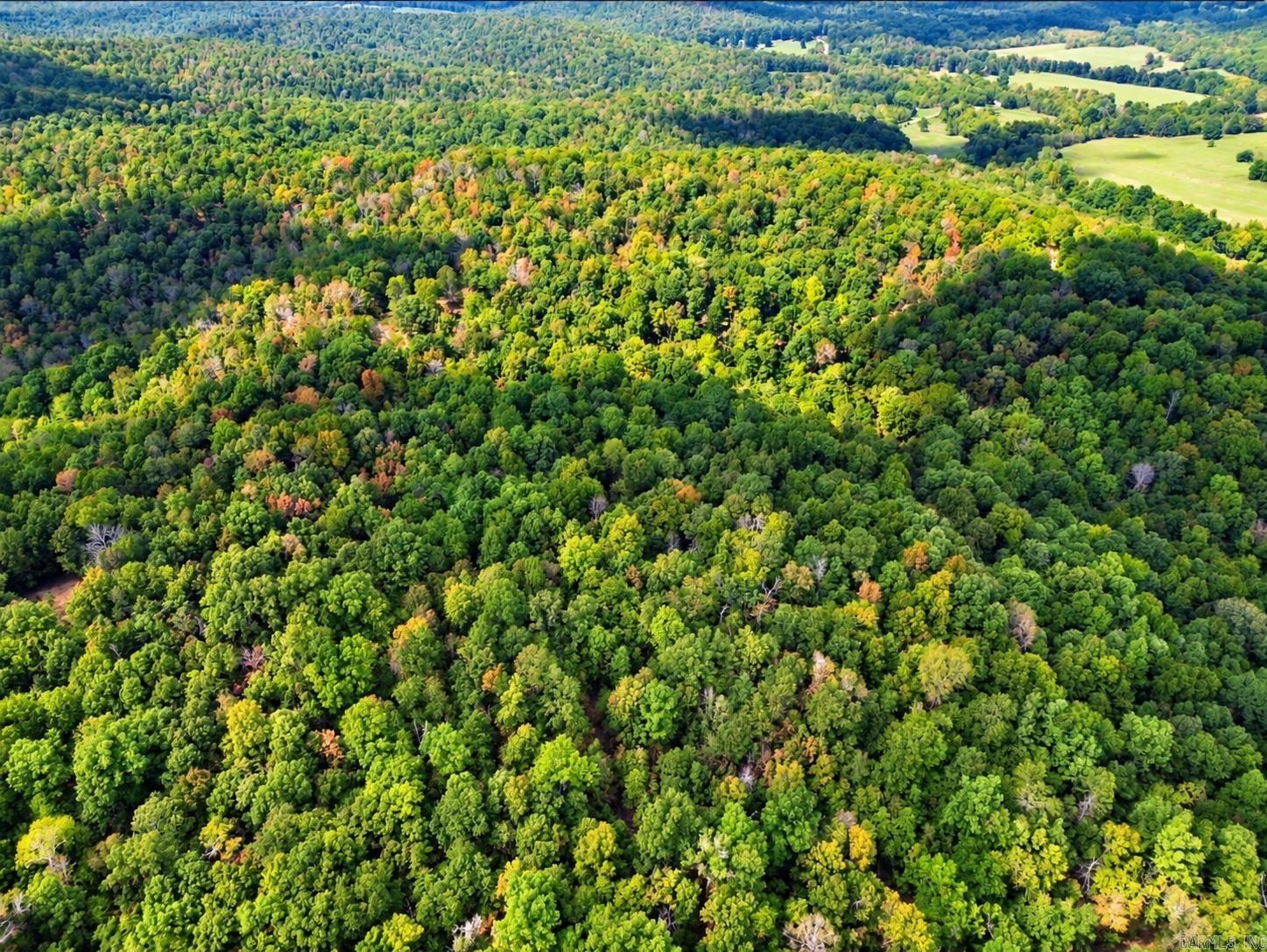  Upper Janes Creek  Ravenden, AR