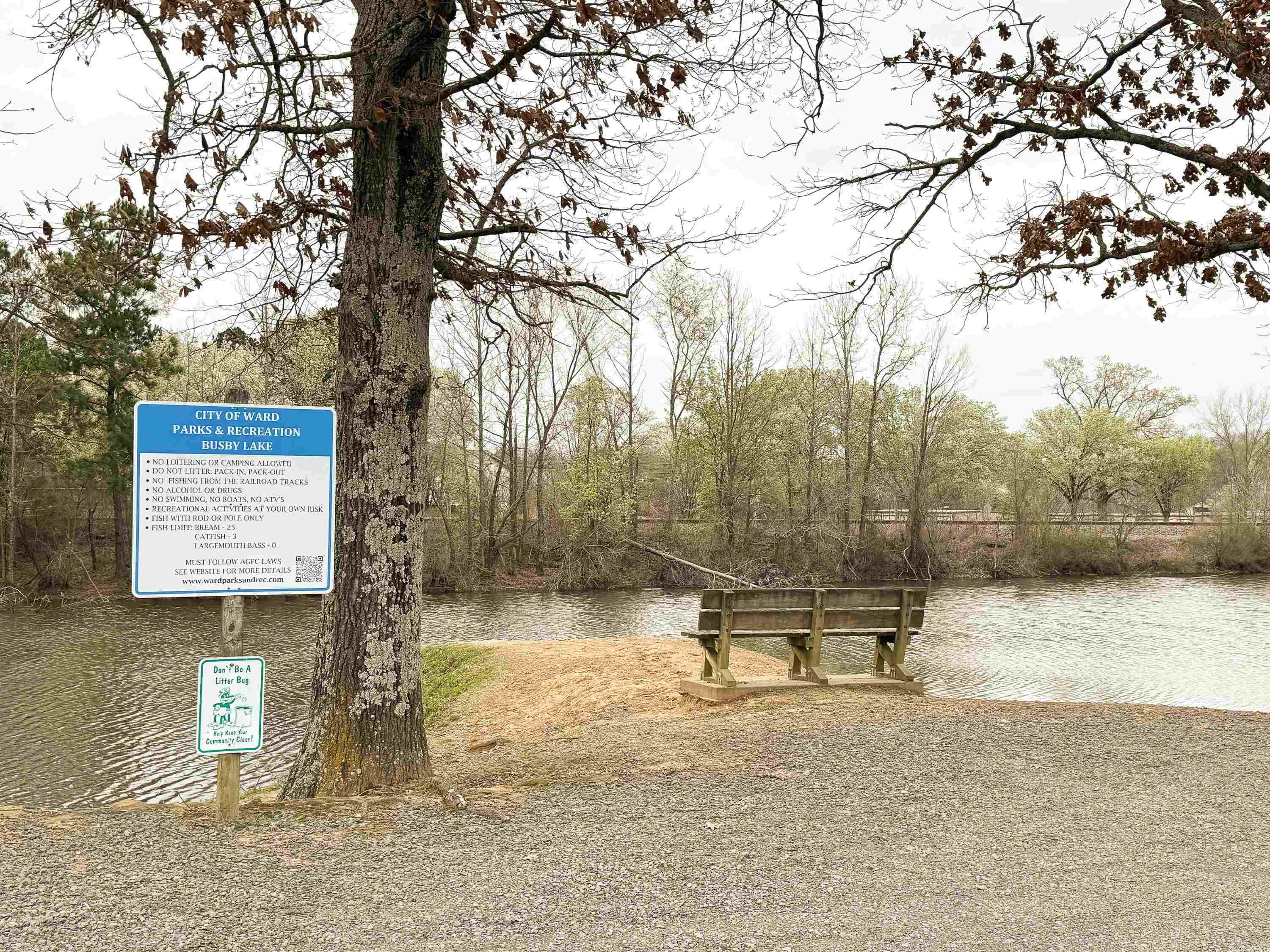 30 Willard Street Ward, AR 72176