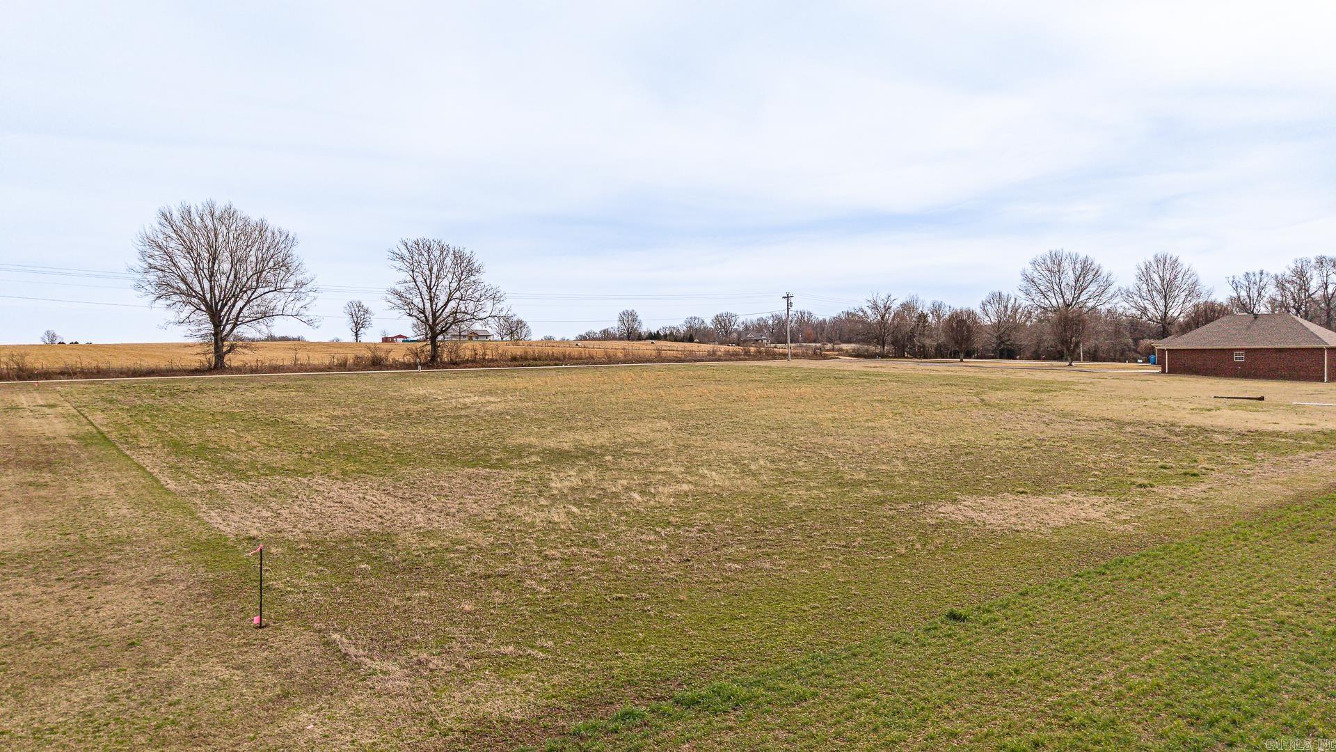 2.05 Acres Tract 3 Greene 424 Road  Marmaduke, AR