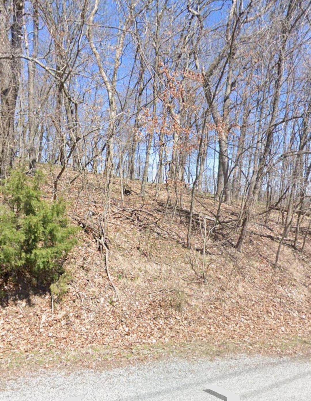 5.16 Acres Summit  Holiday Island, AR