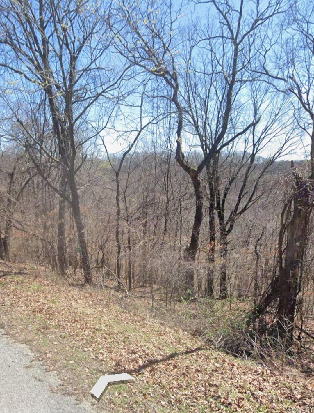 5.16 Acres Summit  Holiday Island, AR
