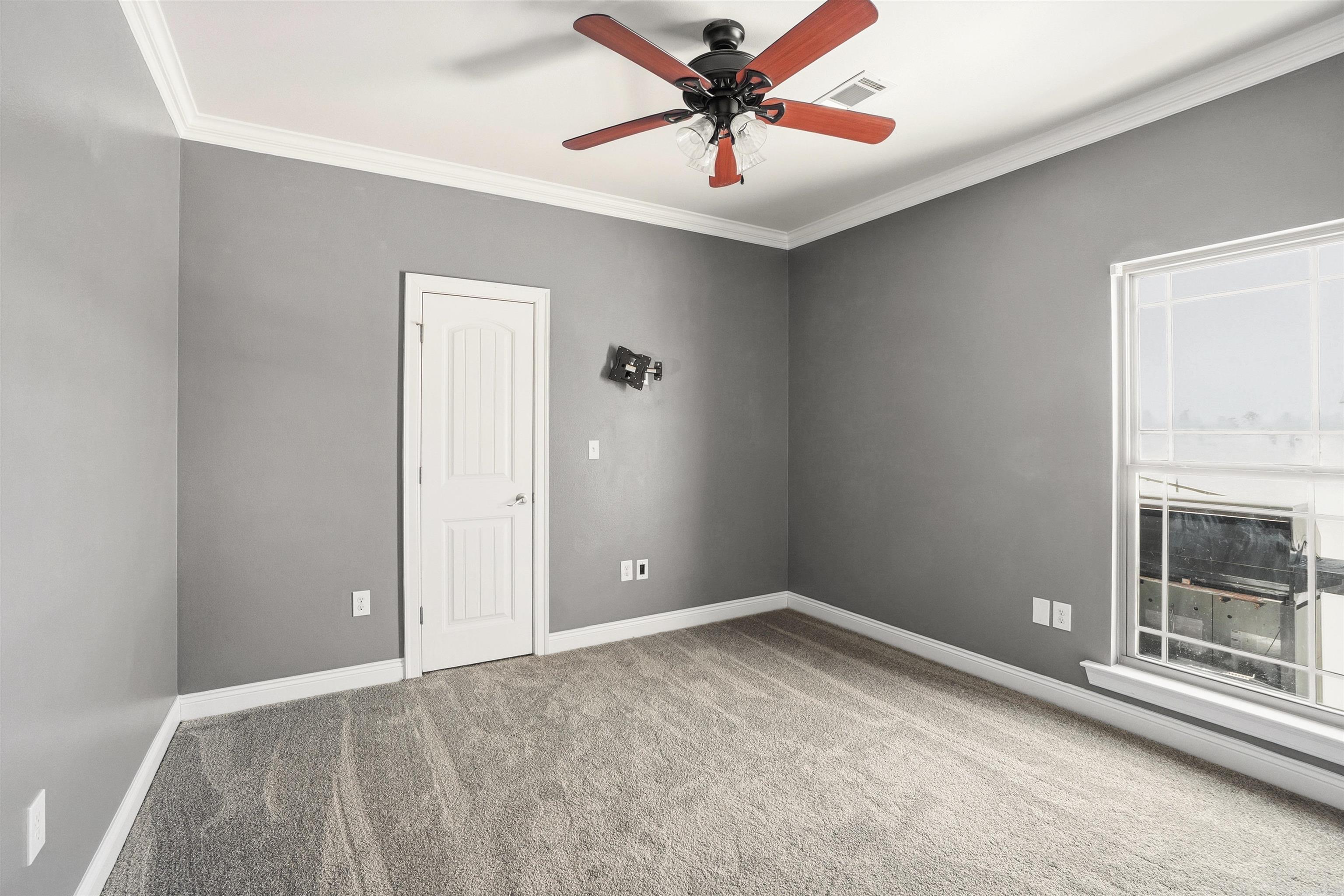 15 Appaloosa  Vilonia, AR