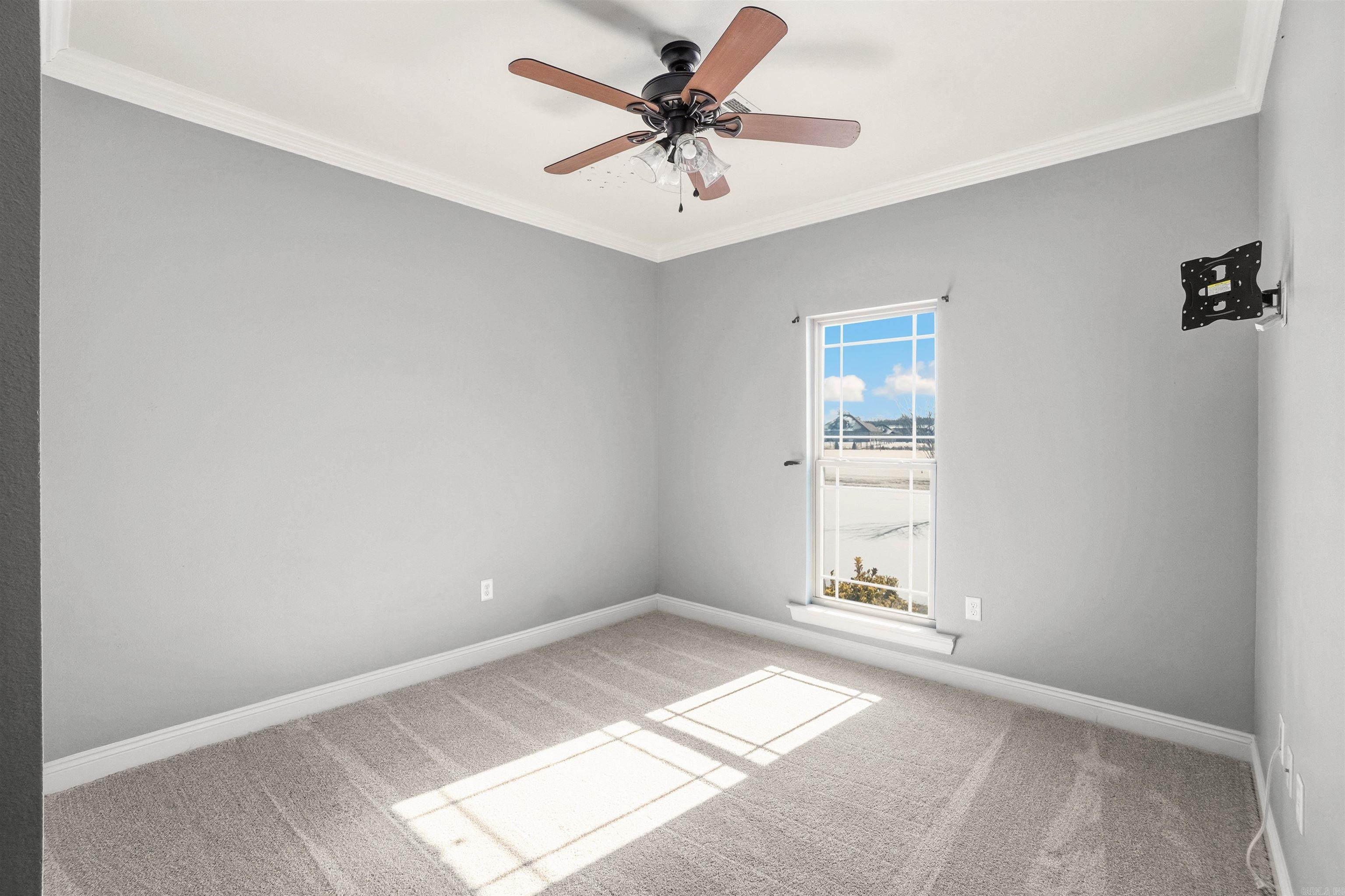 15 Appaloosa  Vilonia, AR