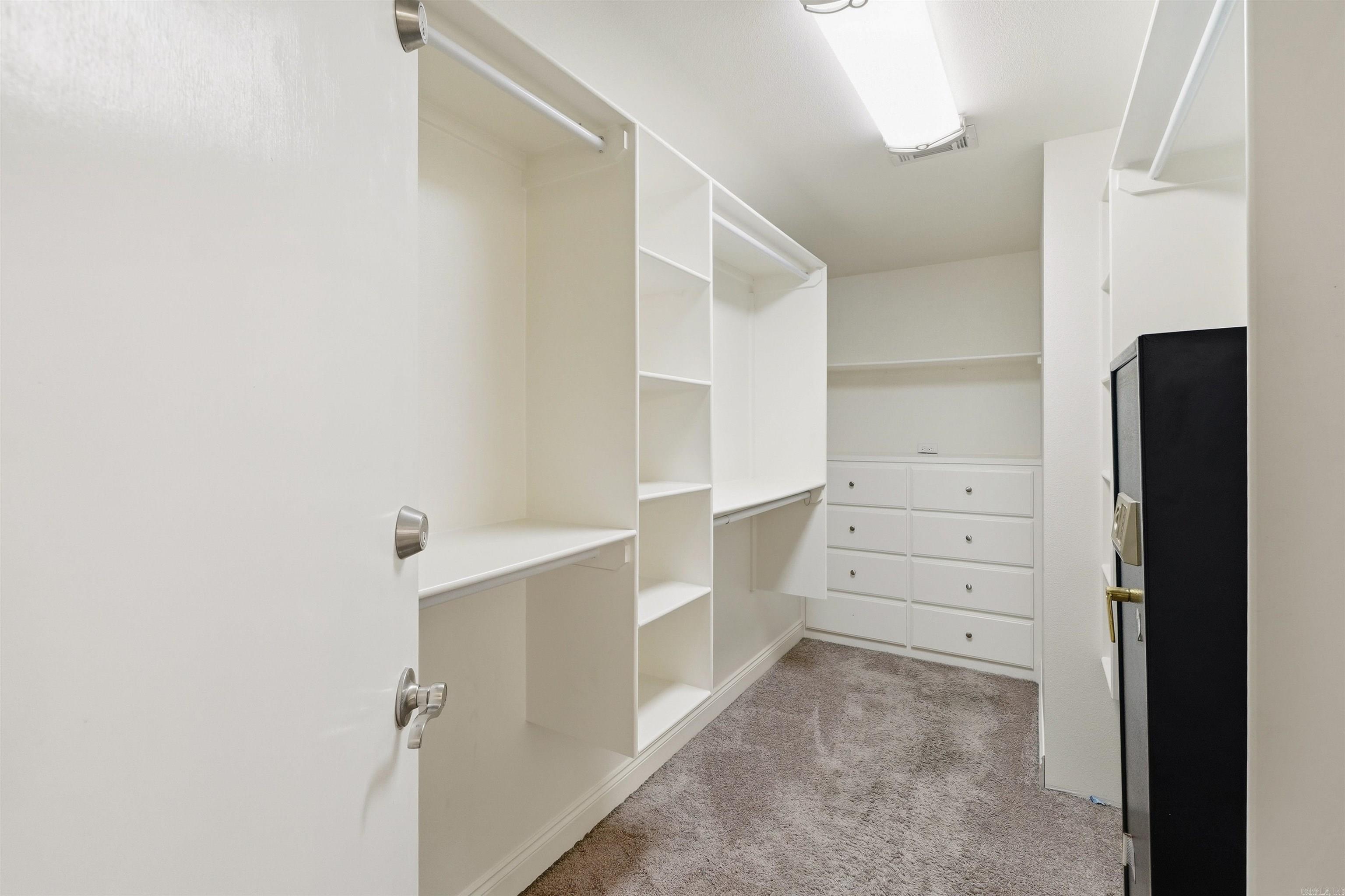 15 Appaloosa  Vilonia, AR