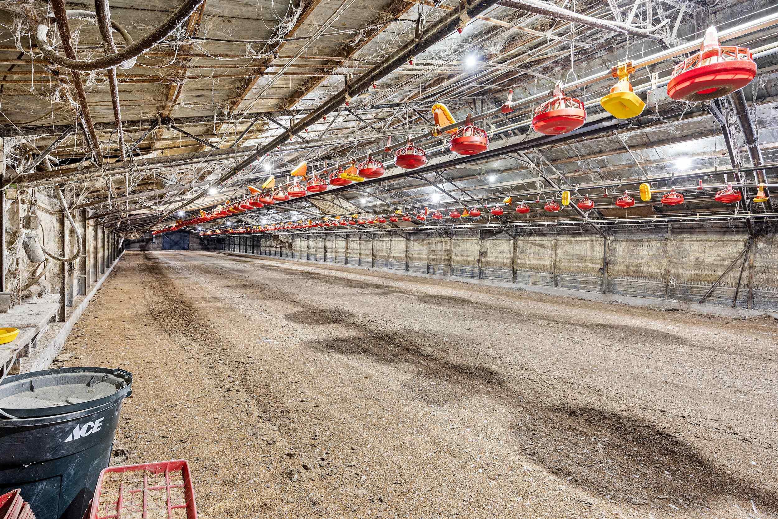  Sawmill  Hattieville, AR