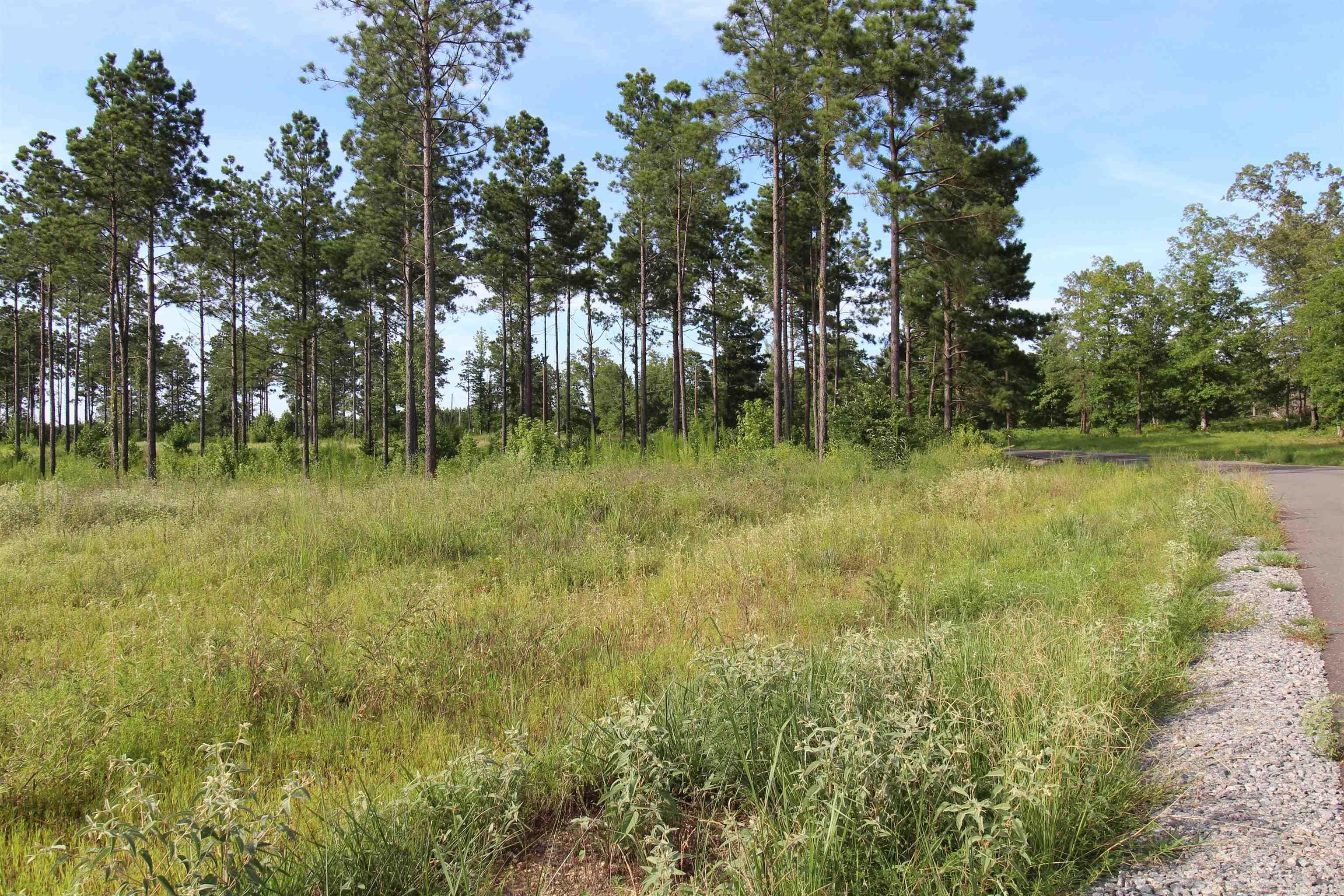 lot 27 Grant County Road 763  Sheridan, AR