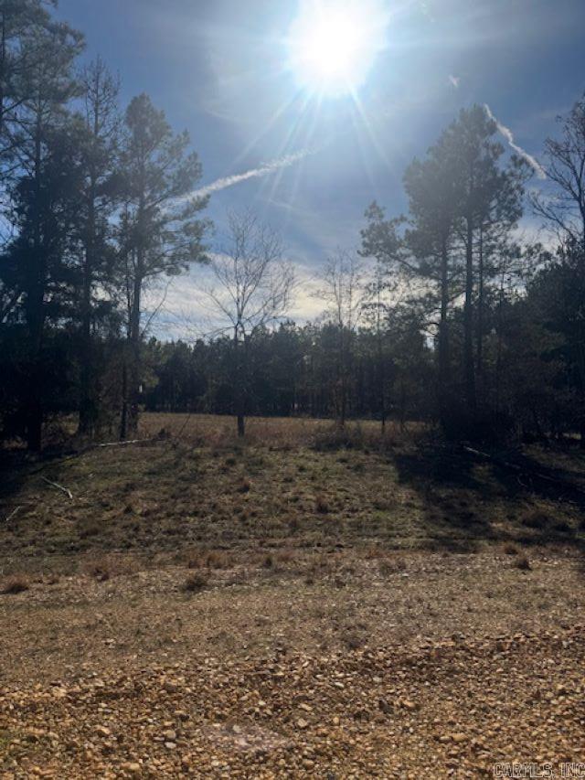 00 Young Pines  Rison, AR