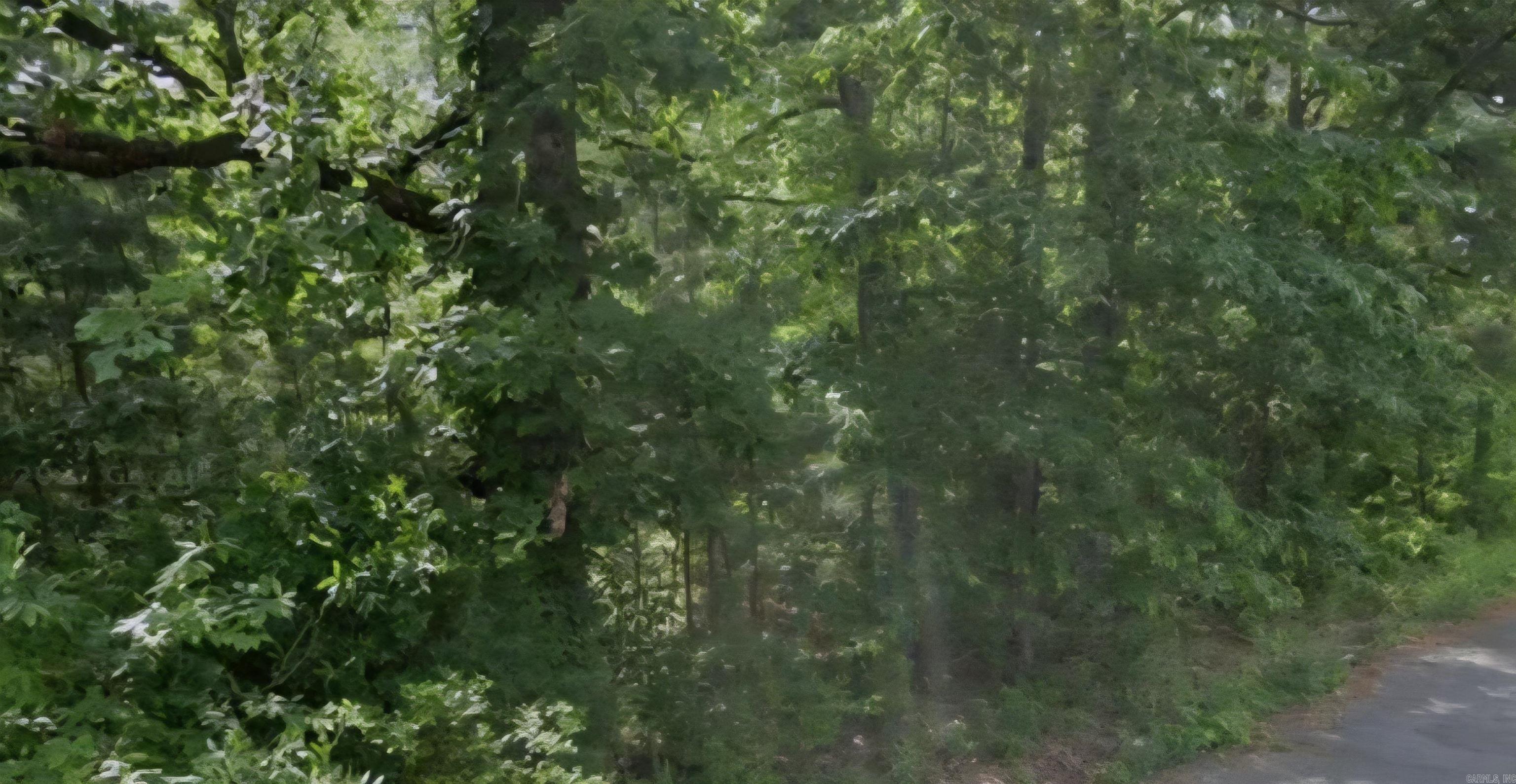 Lot 009 N Norman  Pine Bluff, AR