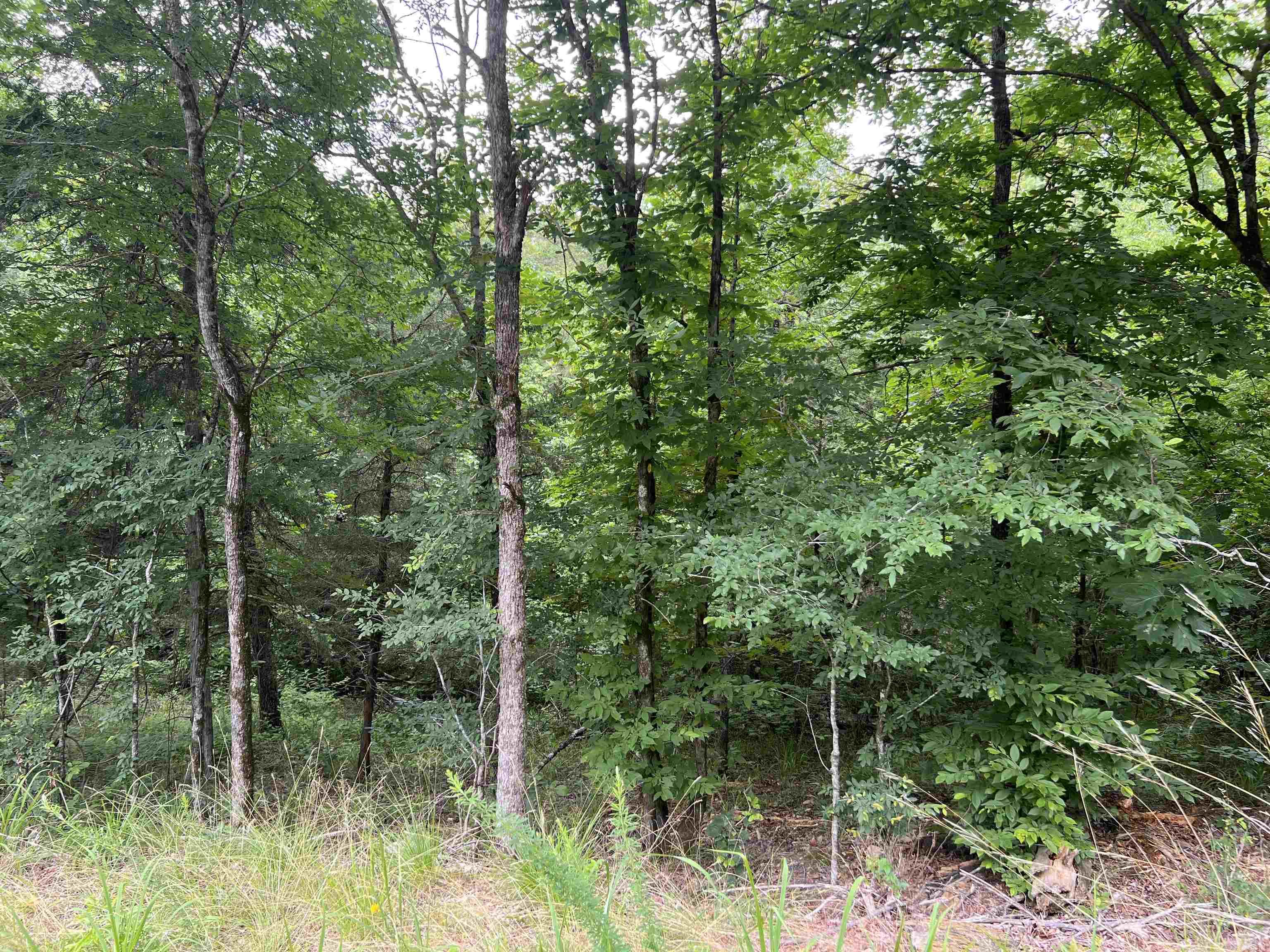 114 Pamplona Way  Hot Springs Village, AR