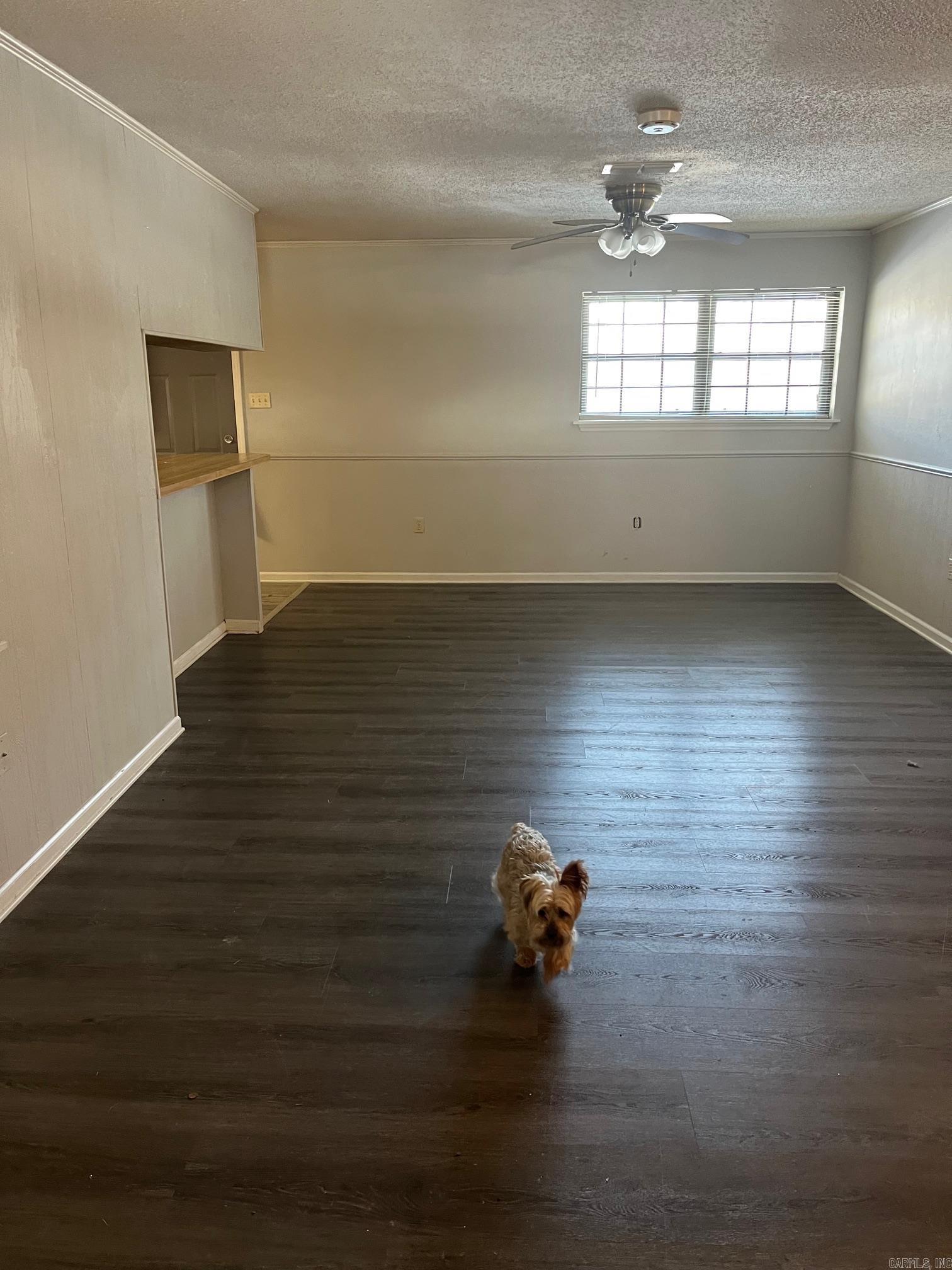 124 Shamrock Dr  Conway, AR