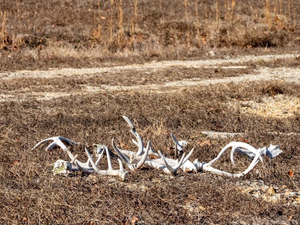 3968 Highway 167  Ash Flat, AR