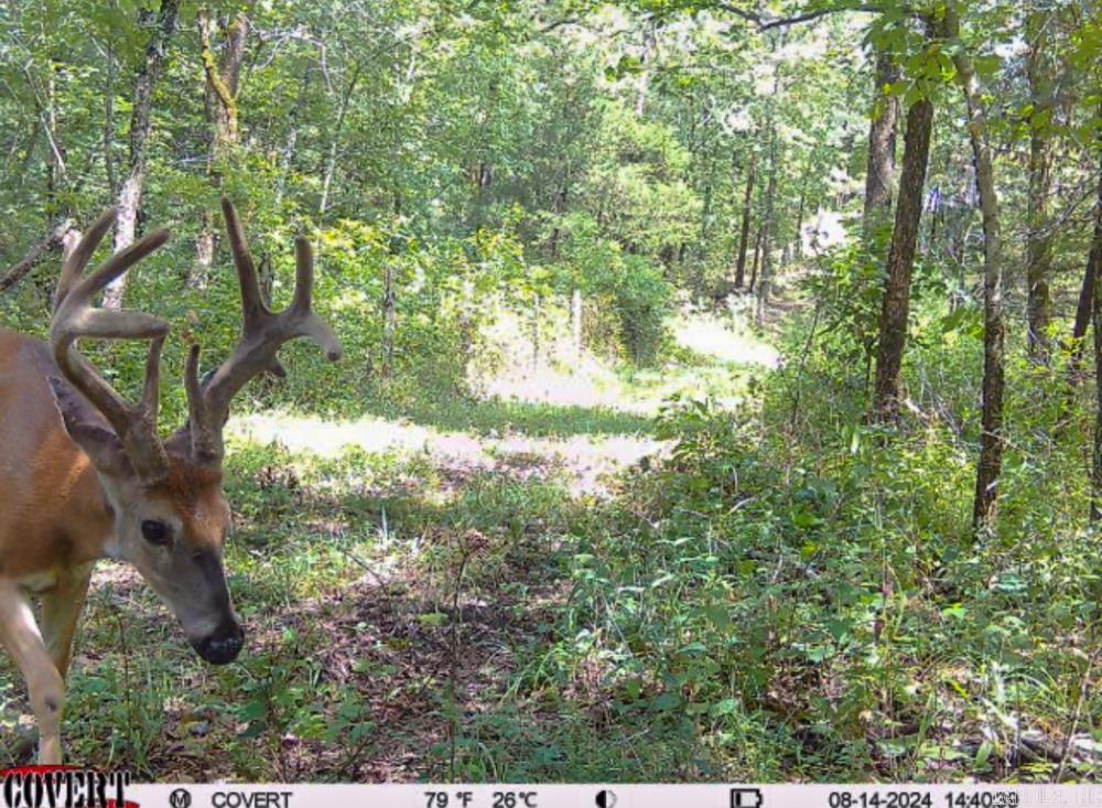 3968 Highway 167  Ash Flat, AR