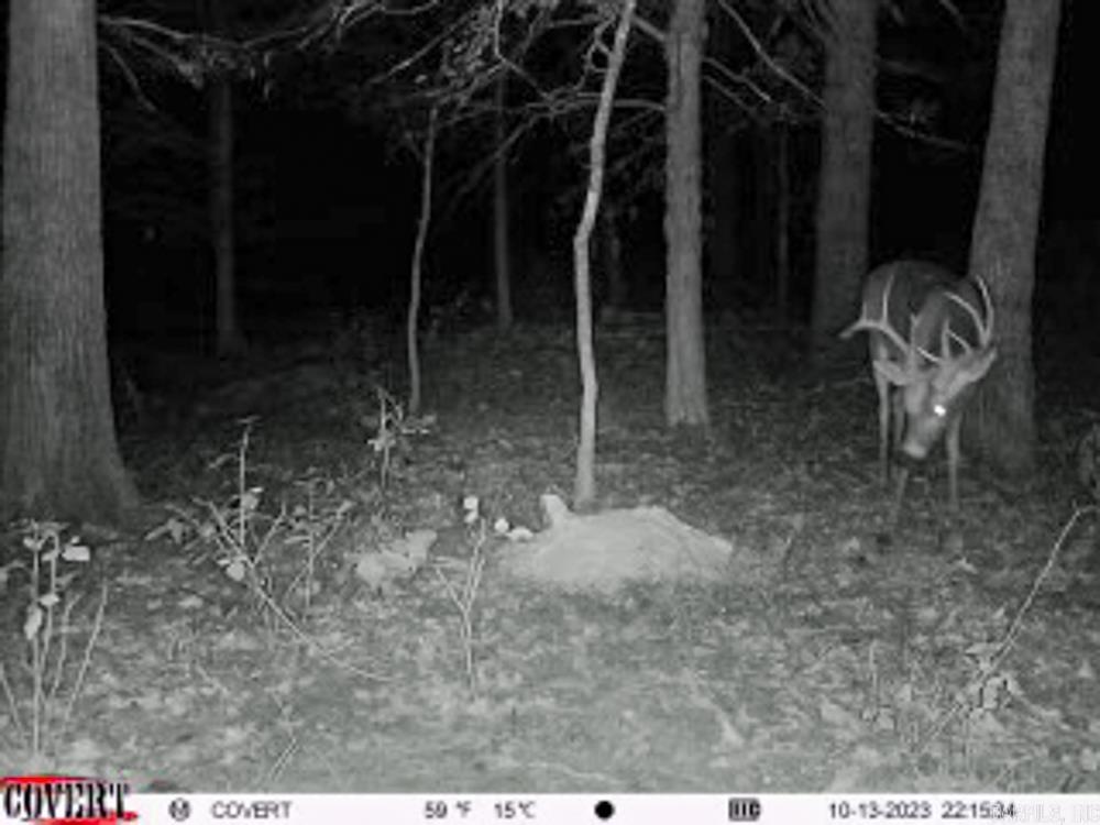 3968 Highway 167  Ash Flat, AR