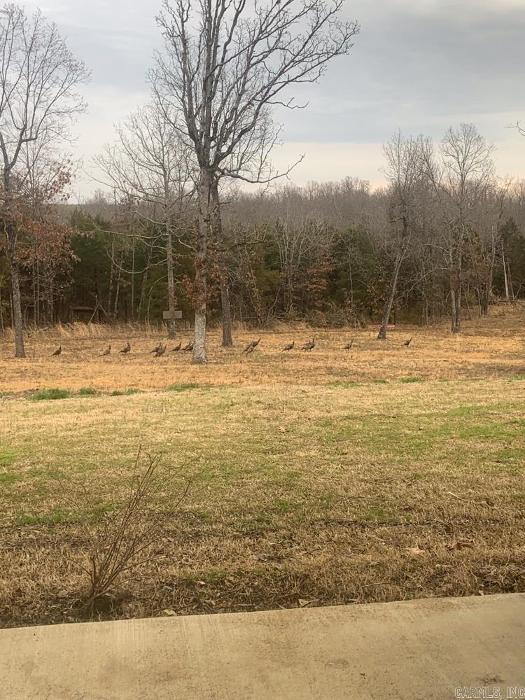 3968 Highway 167  Ash Flat, AR