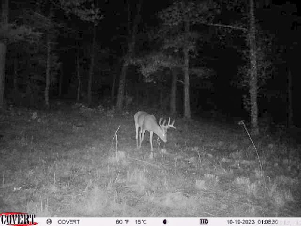 3968 Highway 167  Ash Flat, AR