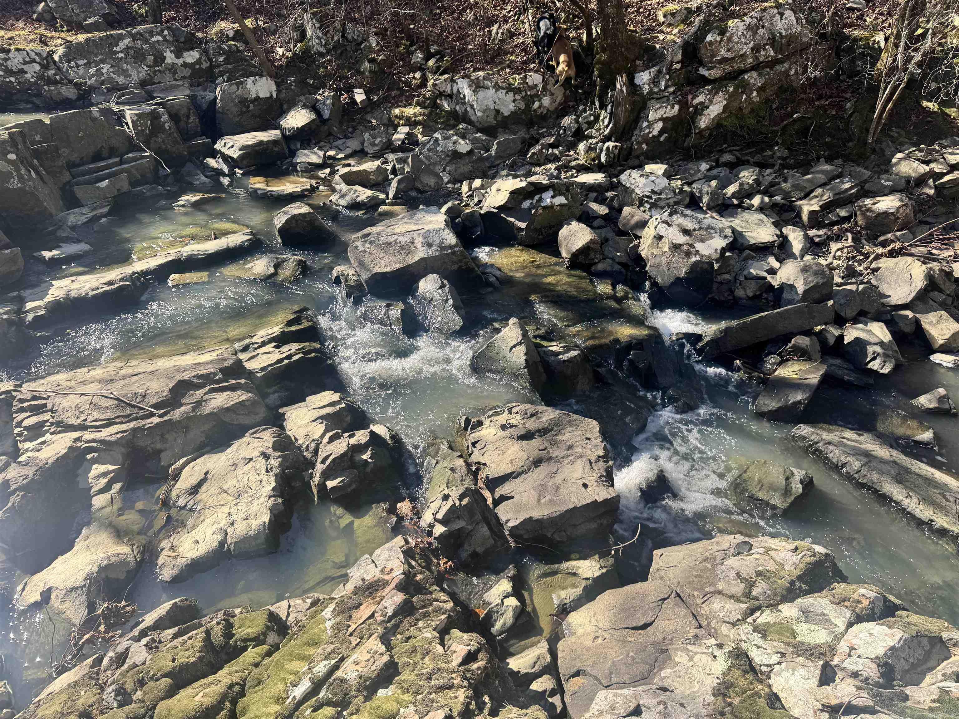 TBD Polk Road 147  Mena, AR