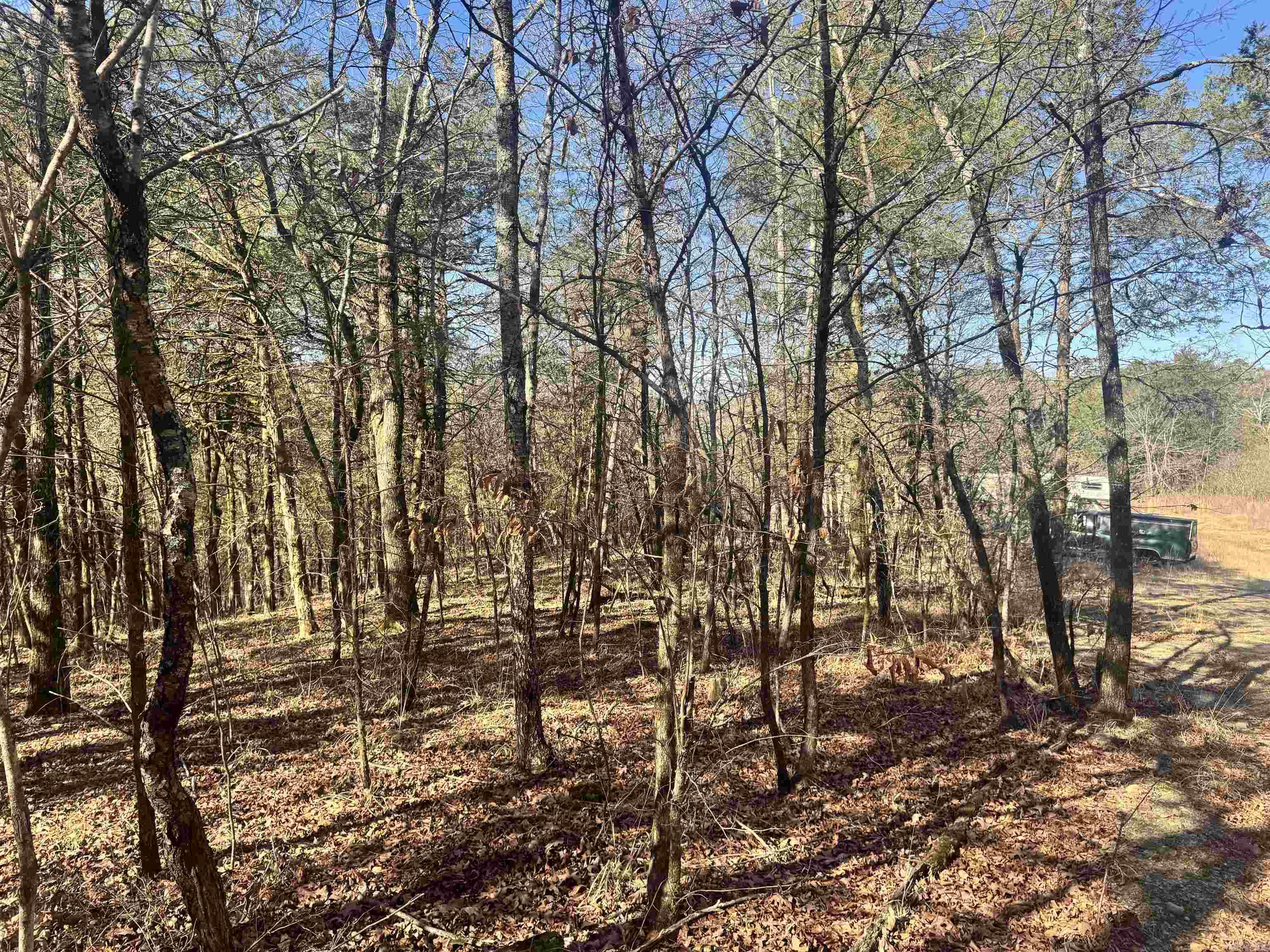 TBD Polk Road 147  Mena, AR