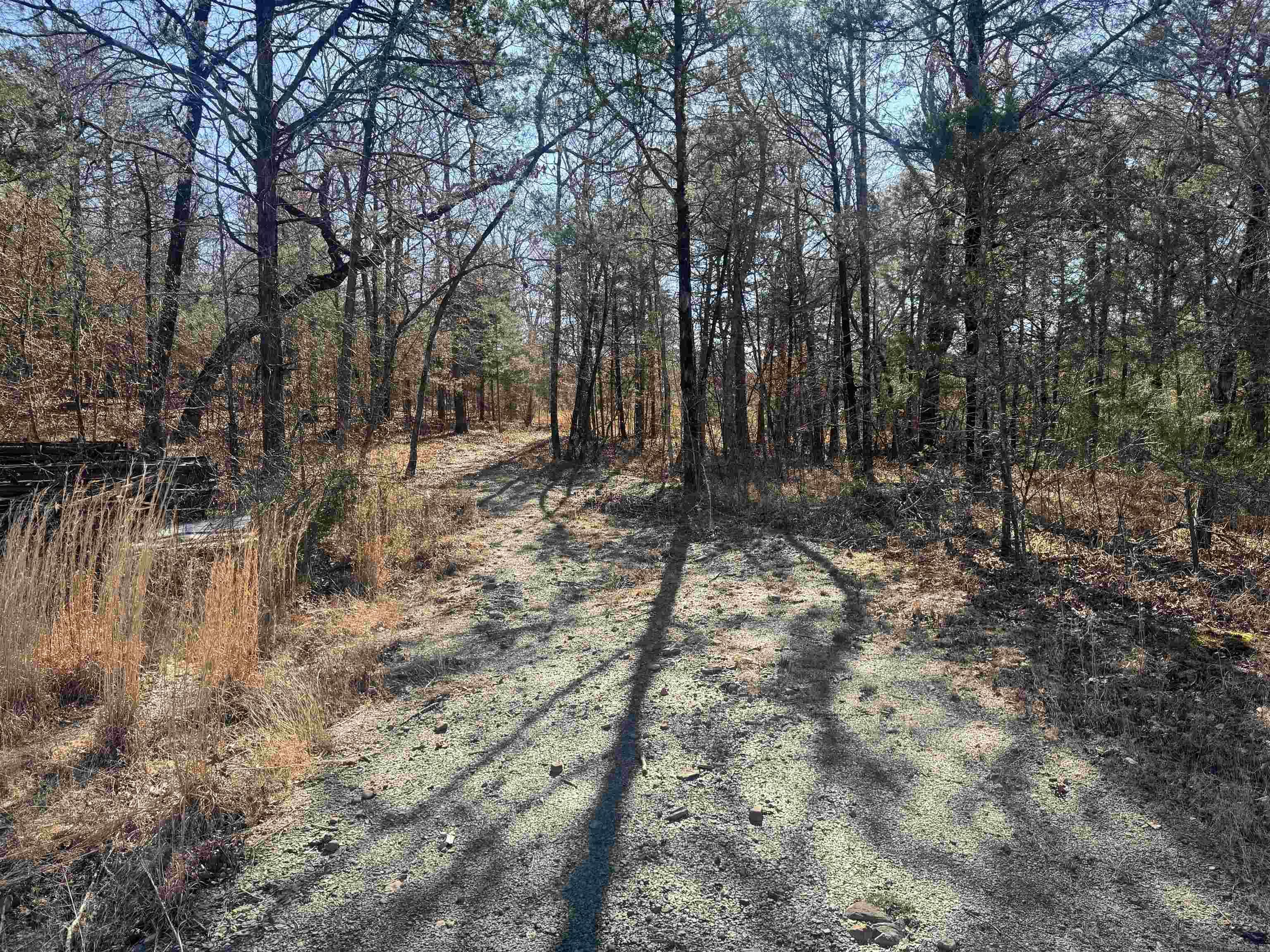 TBD Polk Road 147  Mena, AR