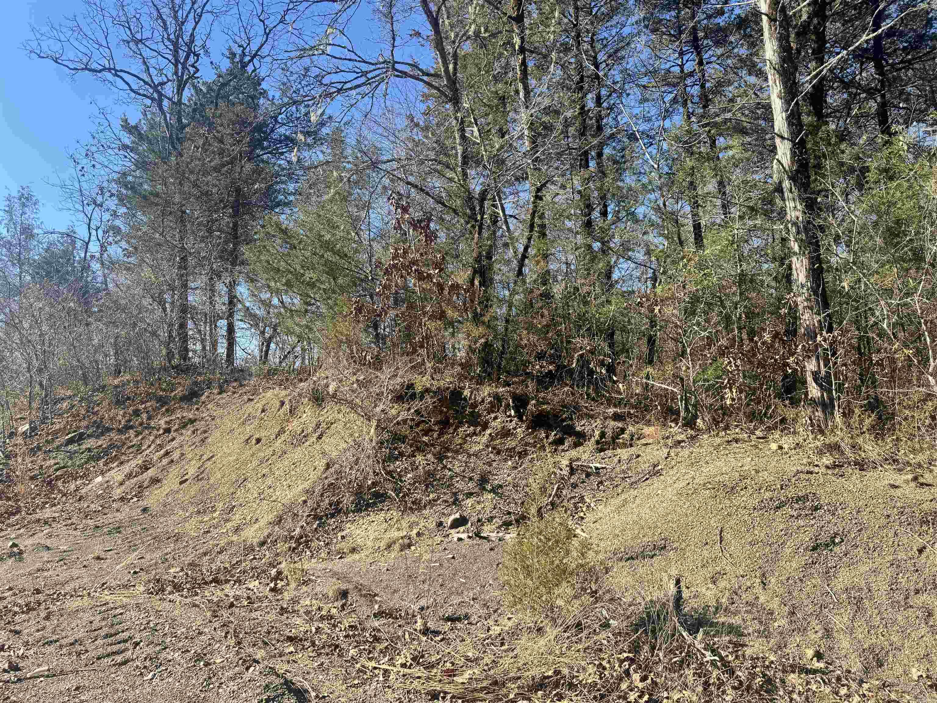 TBD Polk Road 147  Mena, AR