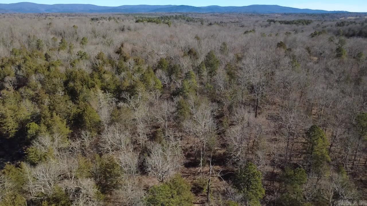 TBD Polk Road 147  Mena, AR