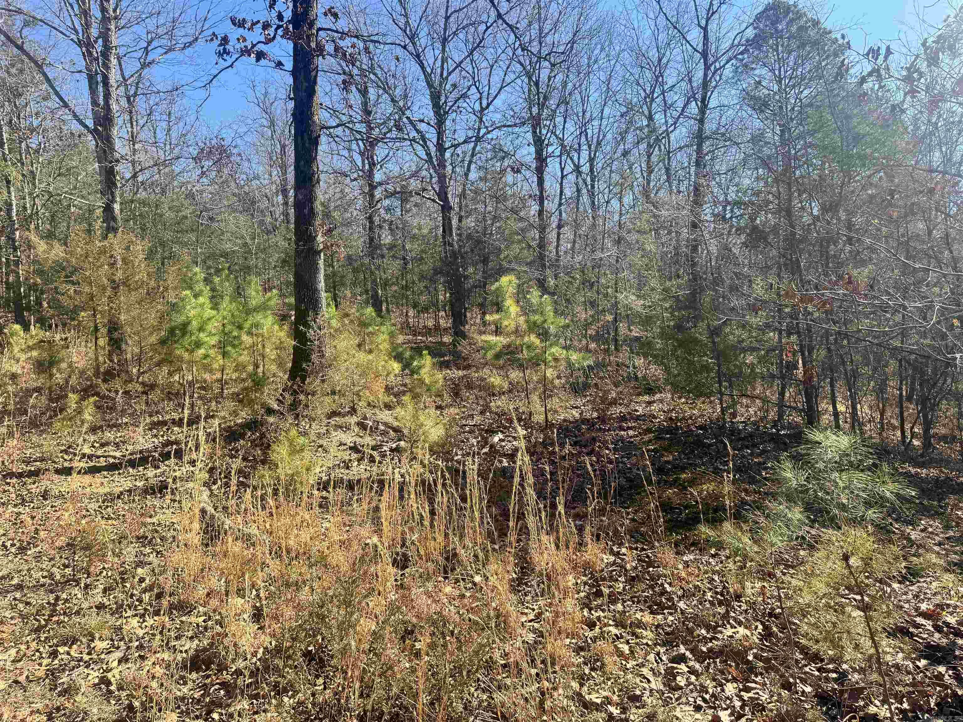 TBD Polk Road 147  Mena, AR