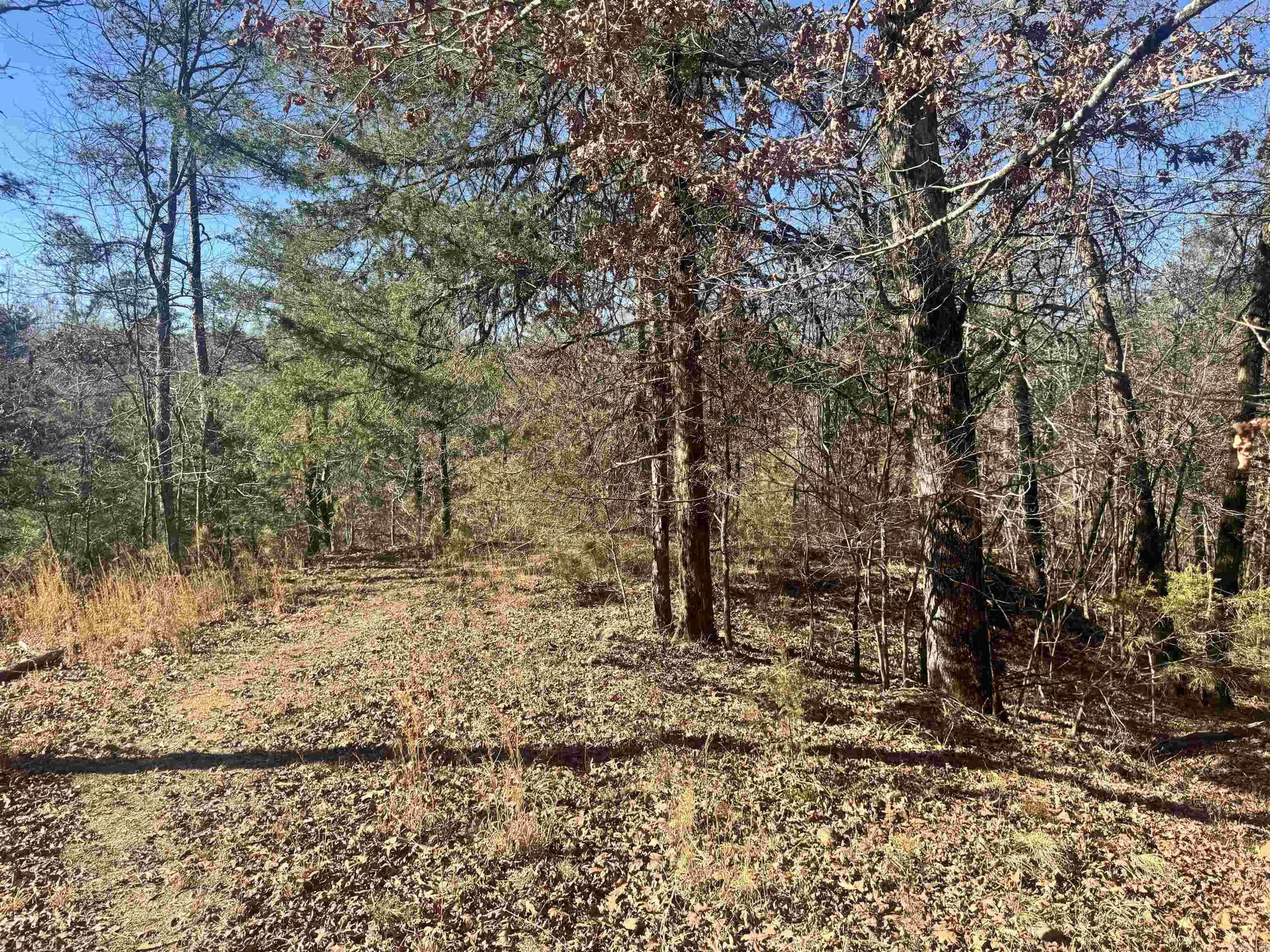 TBD Polk Road 147  Mena, AR