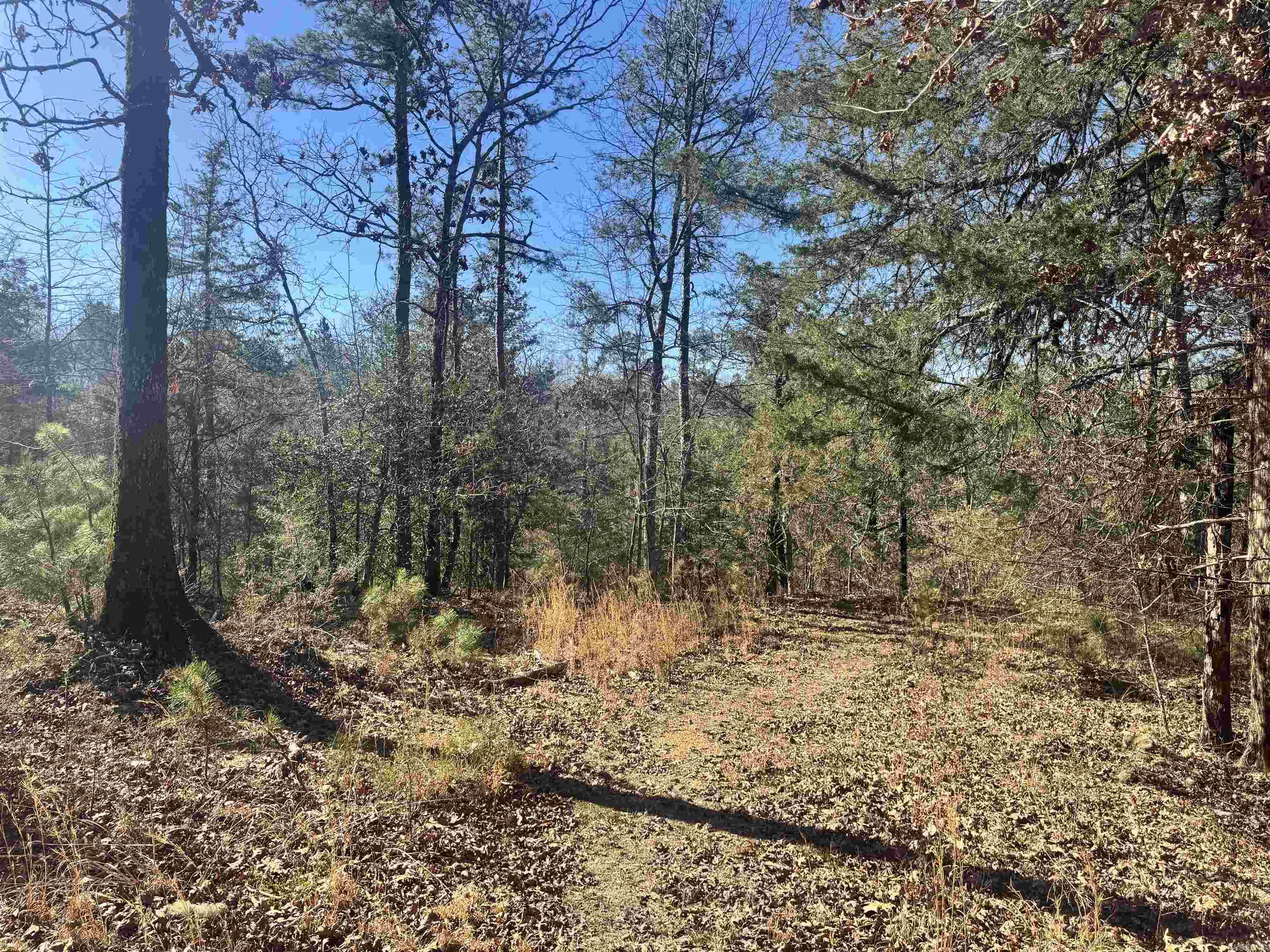 TBD Polk Road 147  Mena, AR