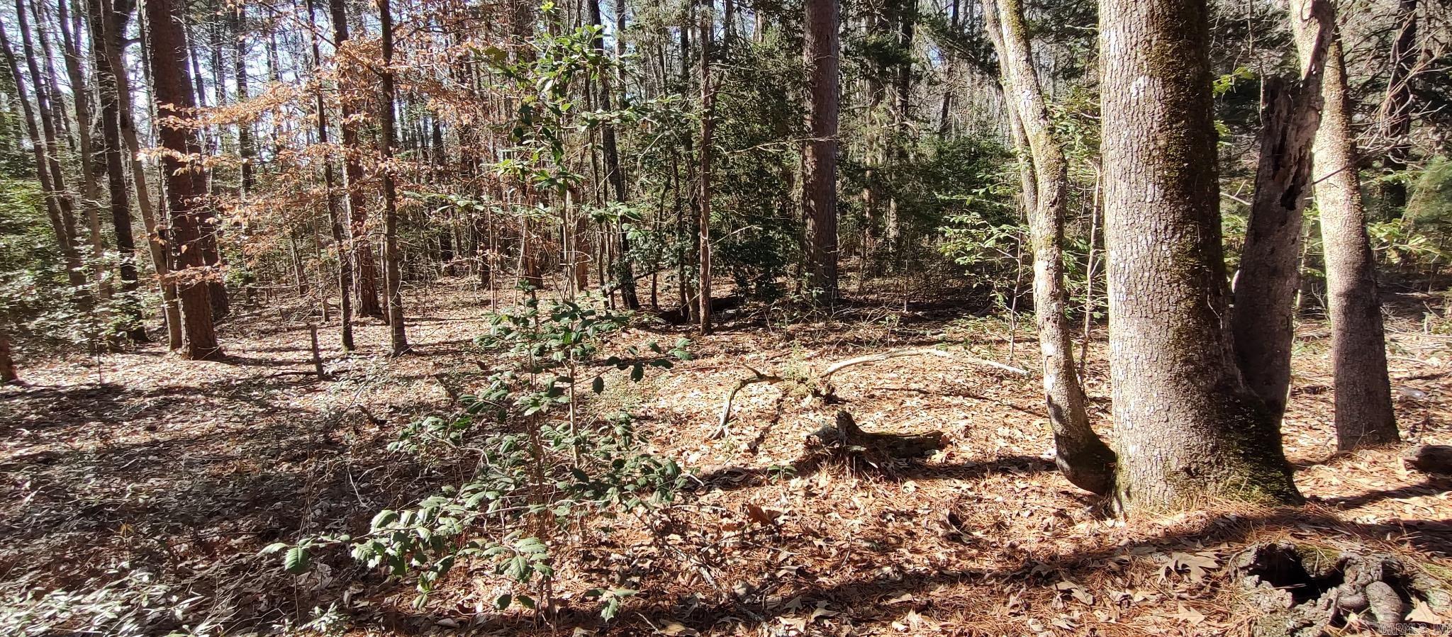 5099 Hwy 278  Chidester, AR