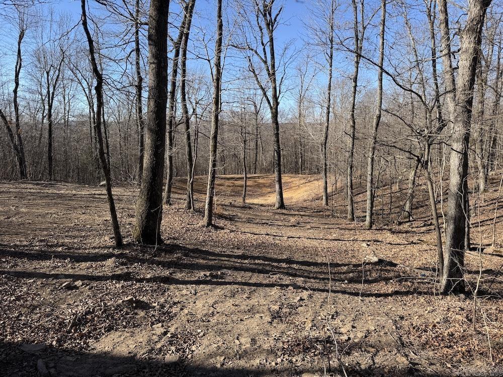  Marsena Rd - East  Marshall, AR